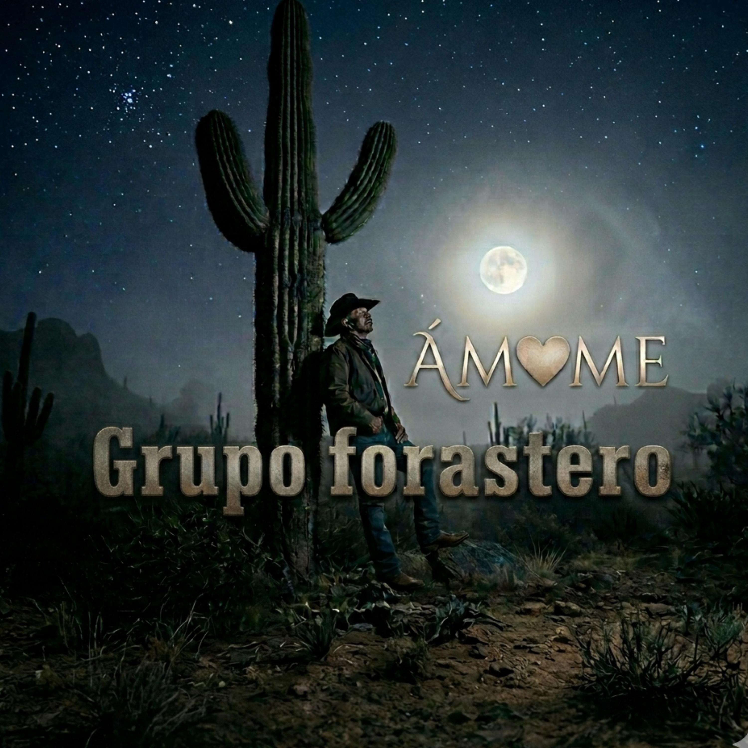 Релиз Ámame