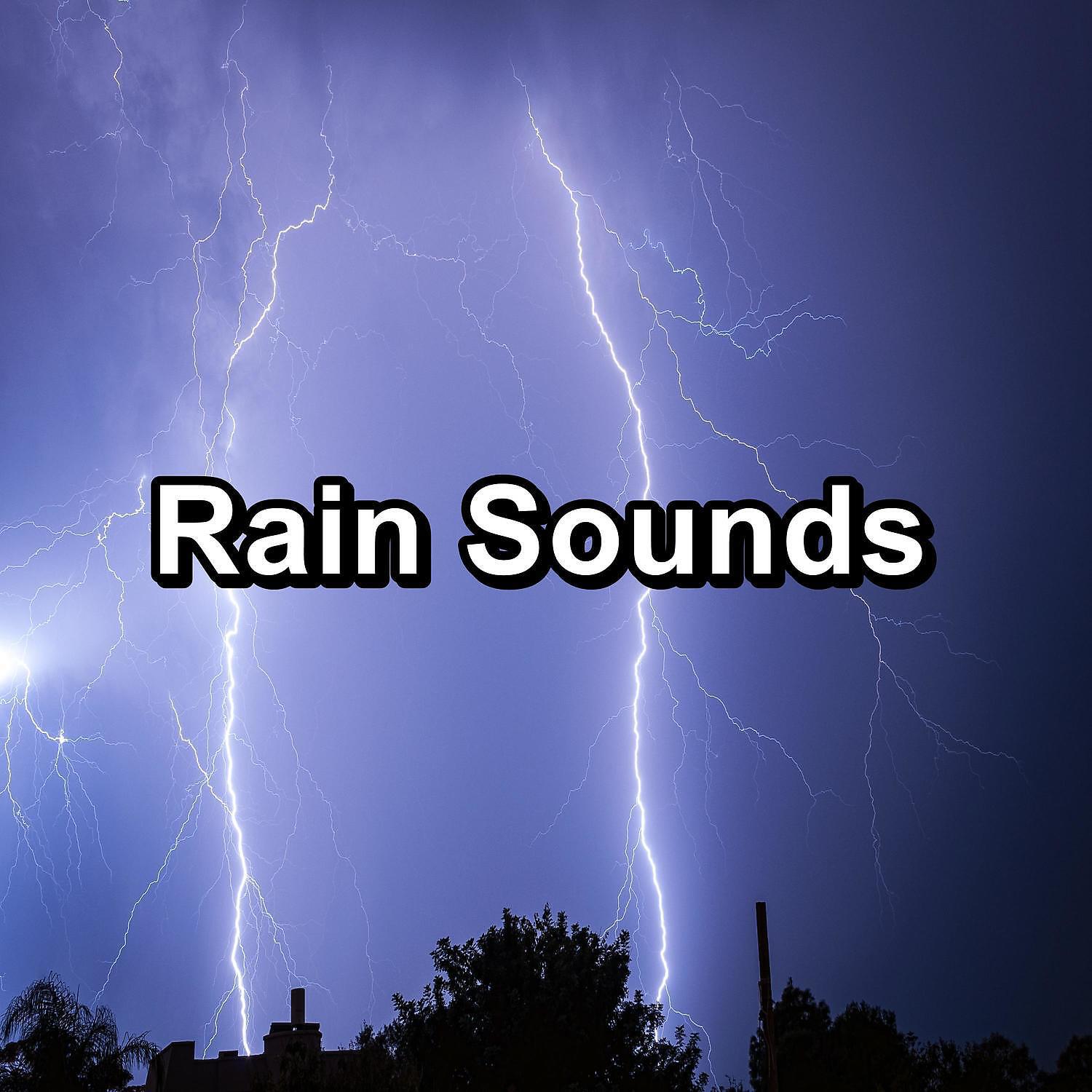 Релиз Rain Sounds