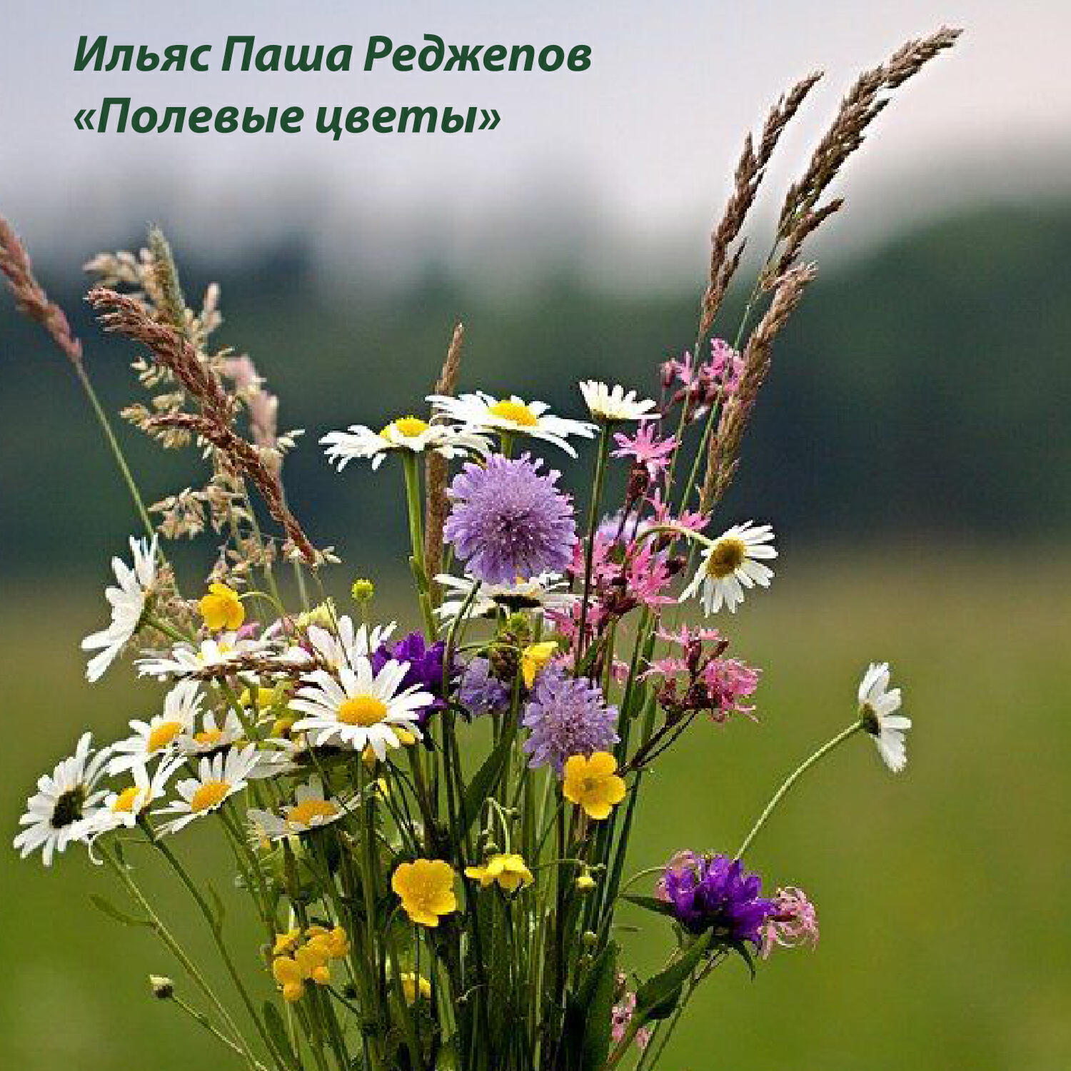 Релиз Полевые цветы