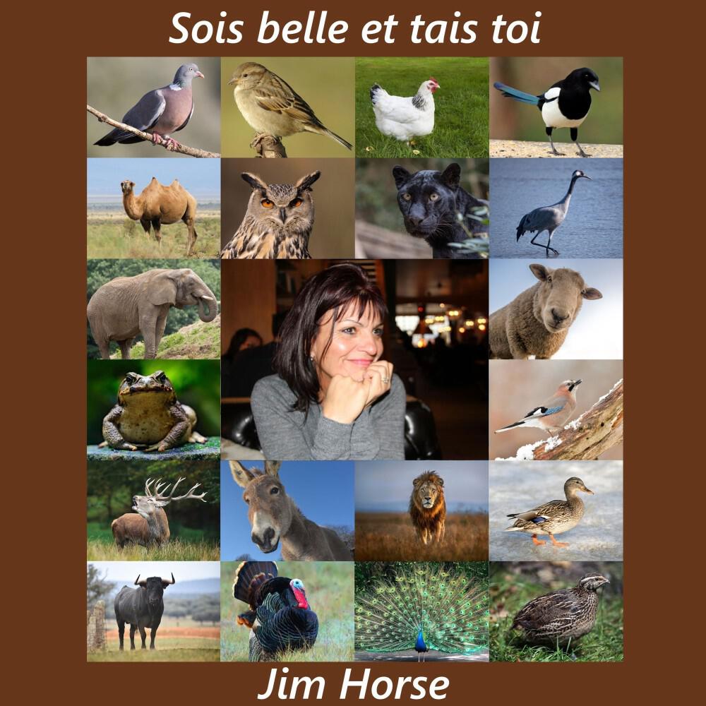 Релиз Sois belle et tais toi