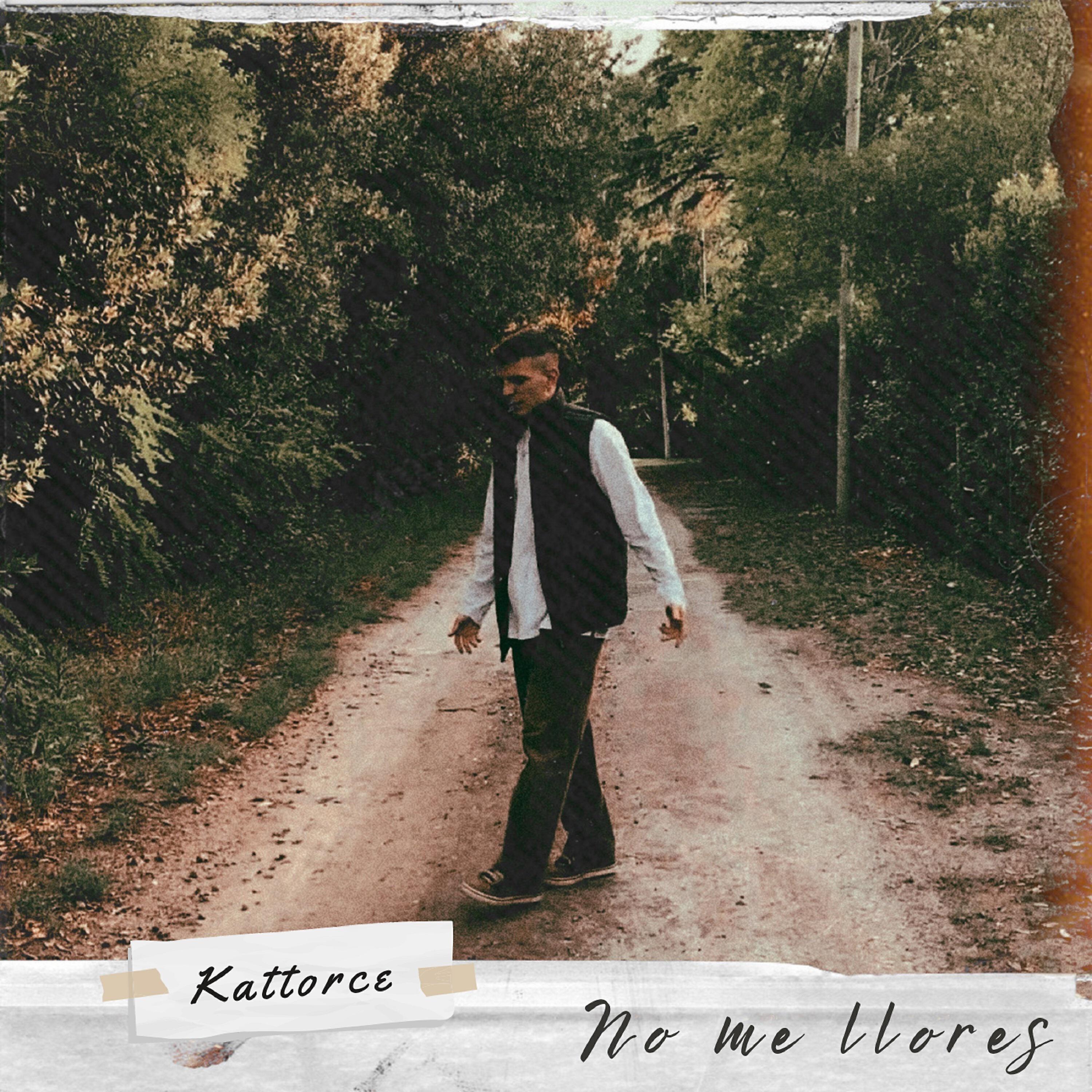 Релиз No Me Llores