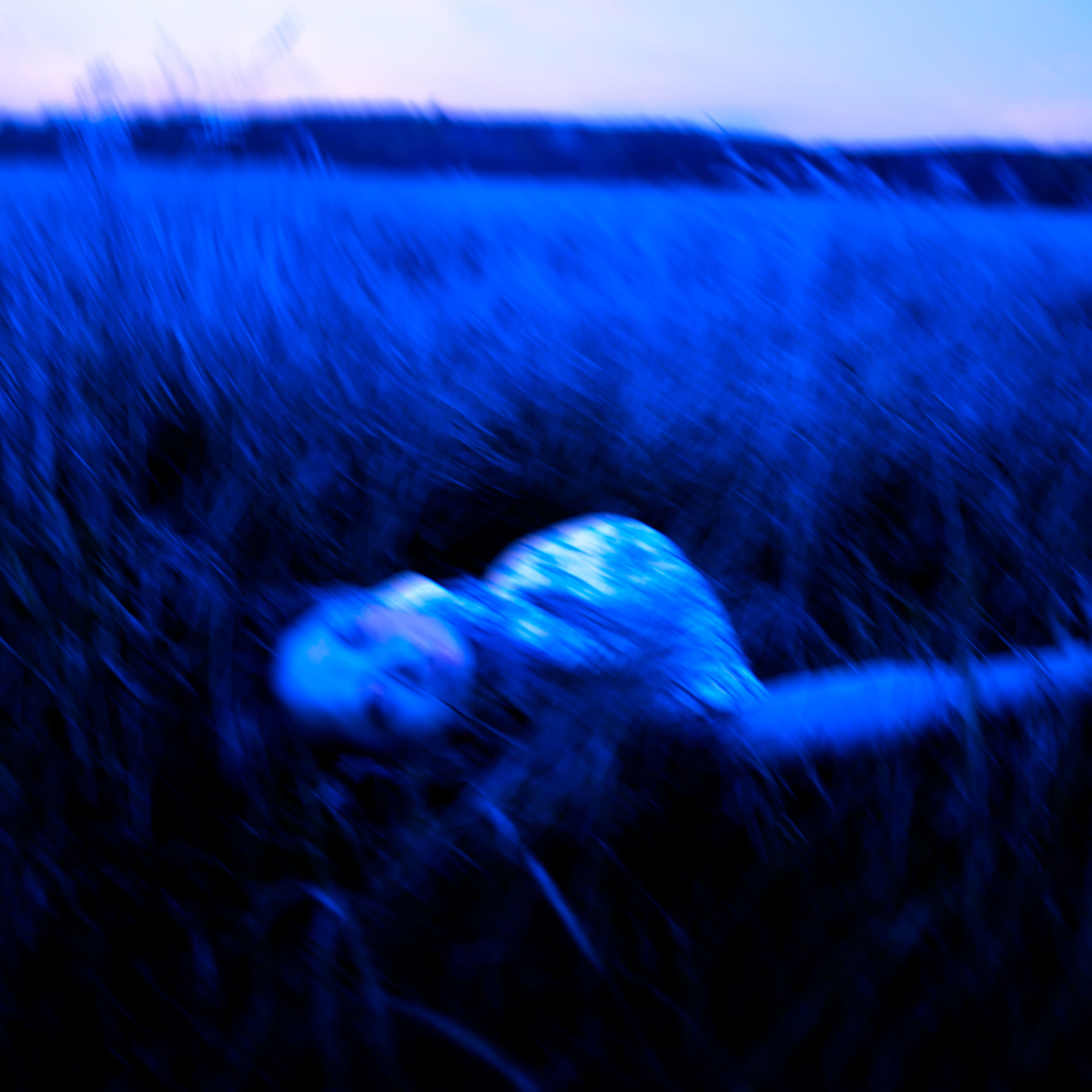 Релиз Weight of Silence