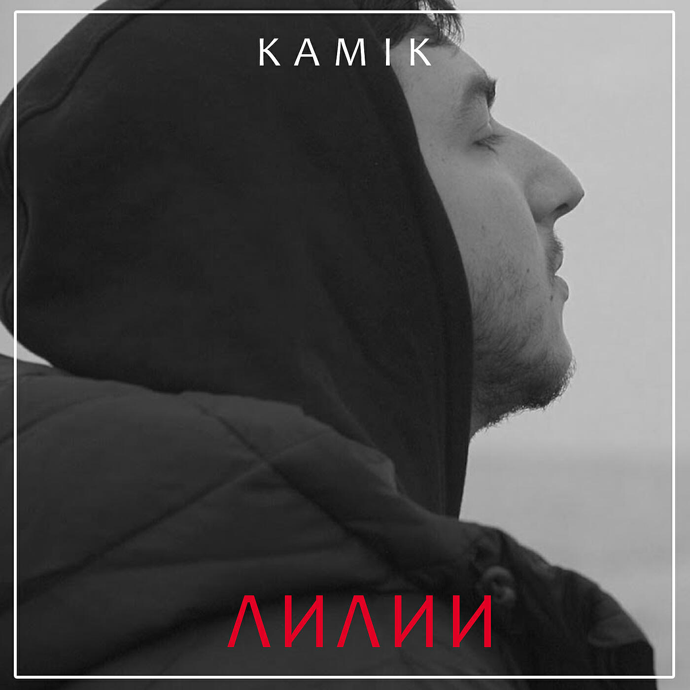 Релиз Лилии