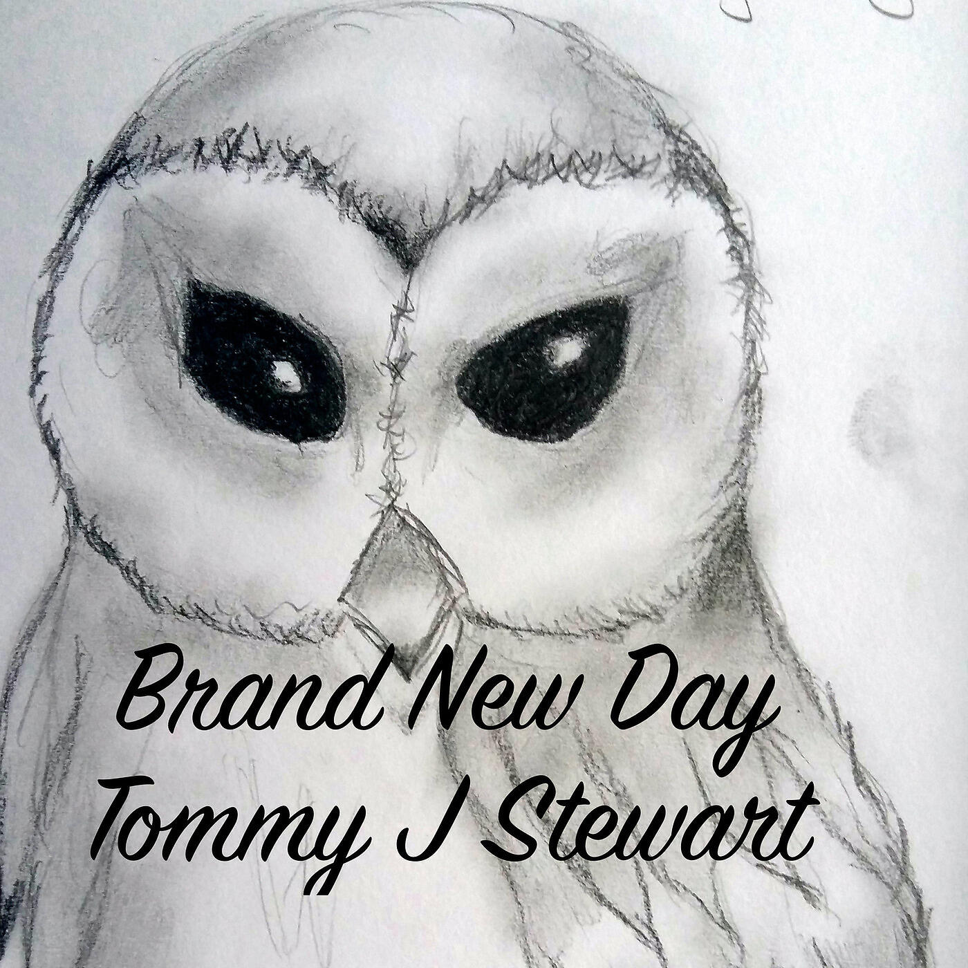 Постер альбома Brand New Day
