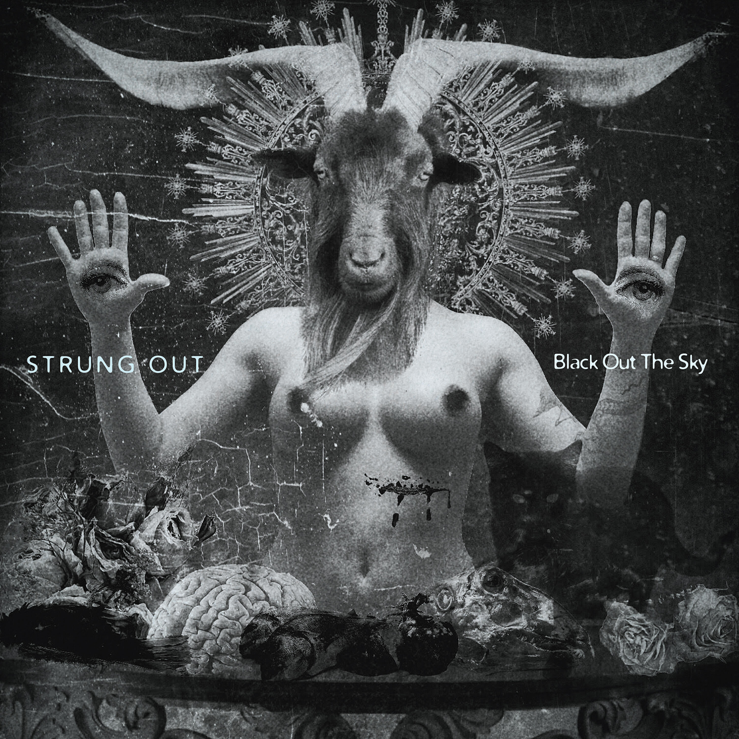 Релиз Black out the Sky