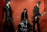 The WiLd EyeS