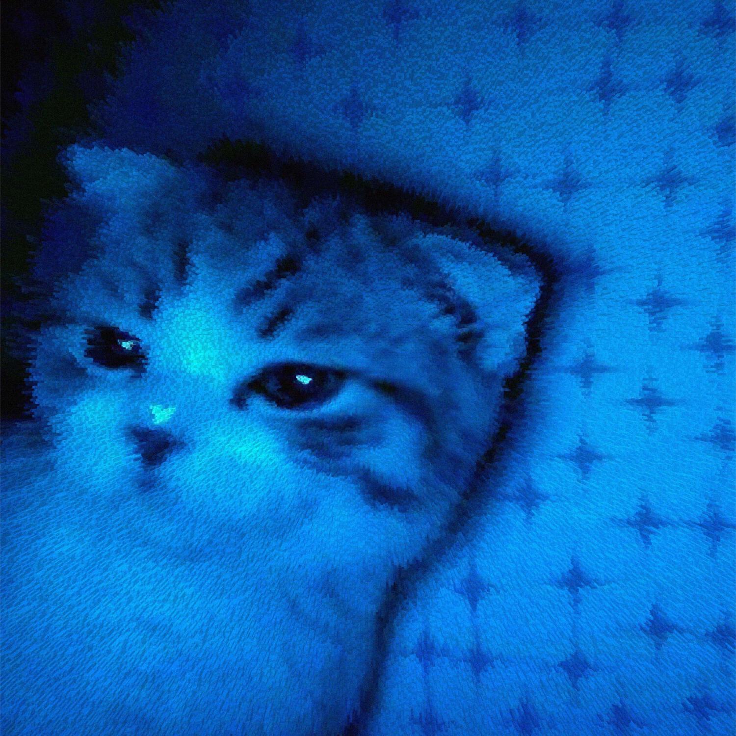 Релиз night drowning