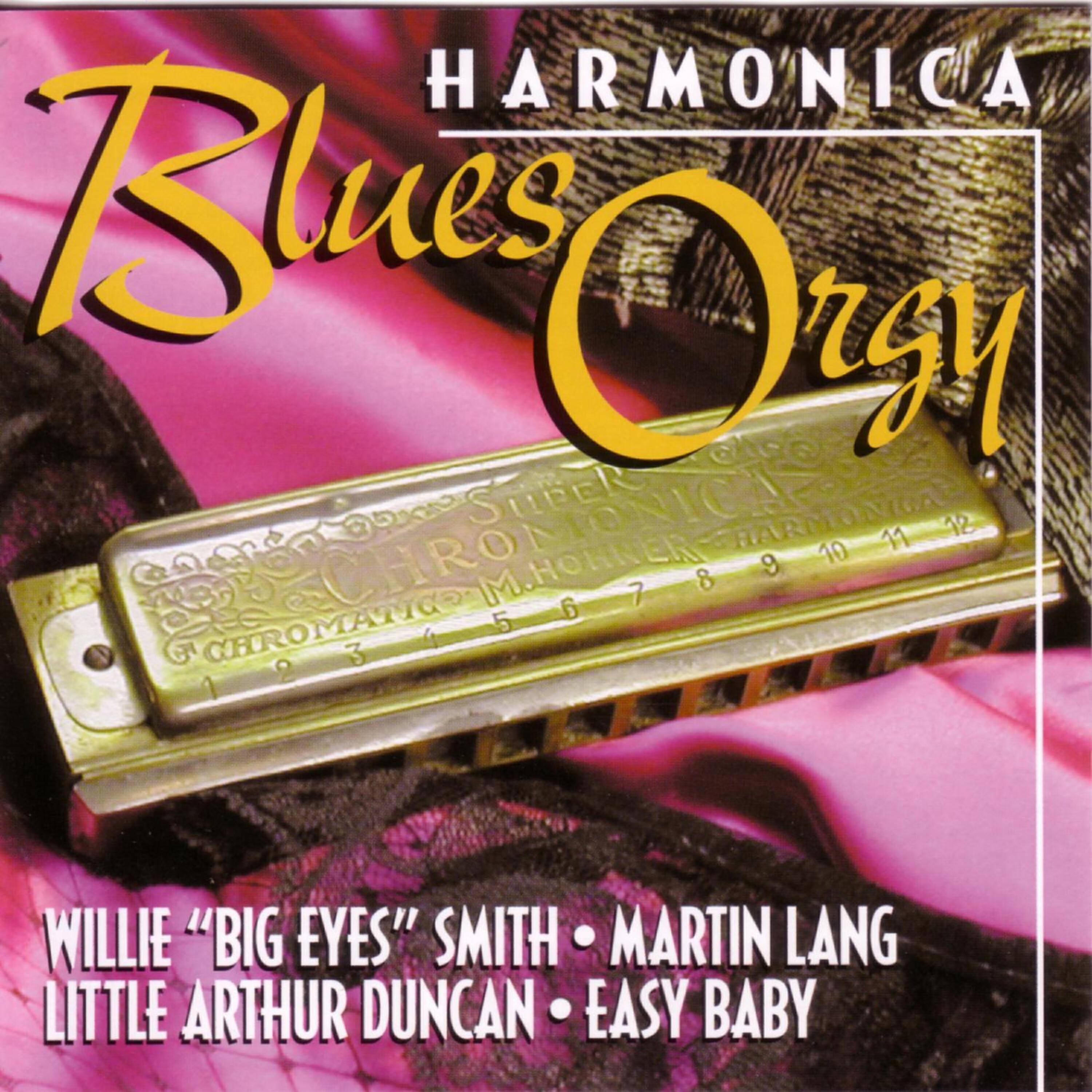 Harmonica Blues Orgy
