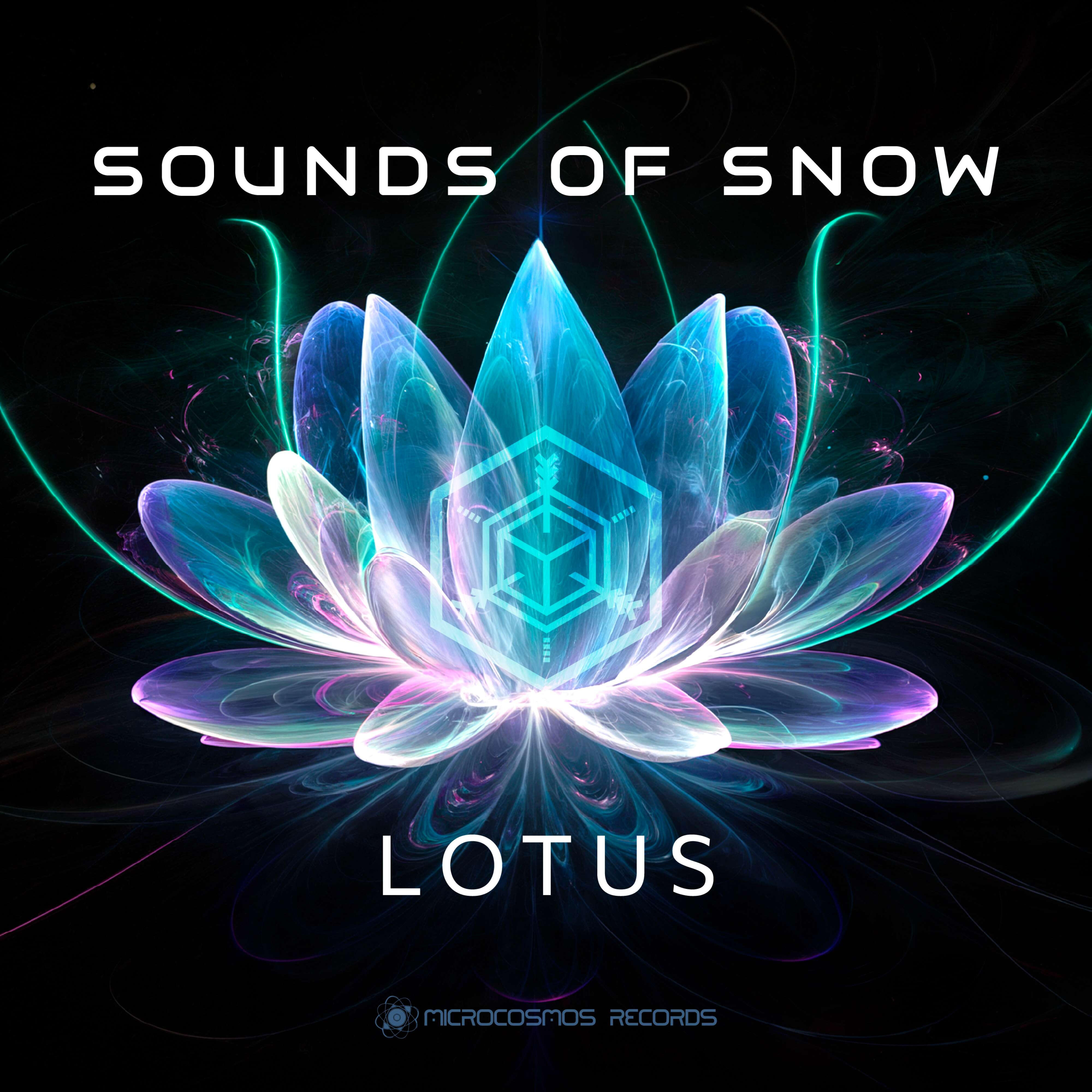 Релиз Lotus