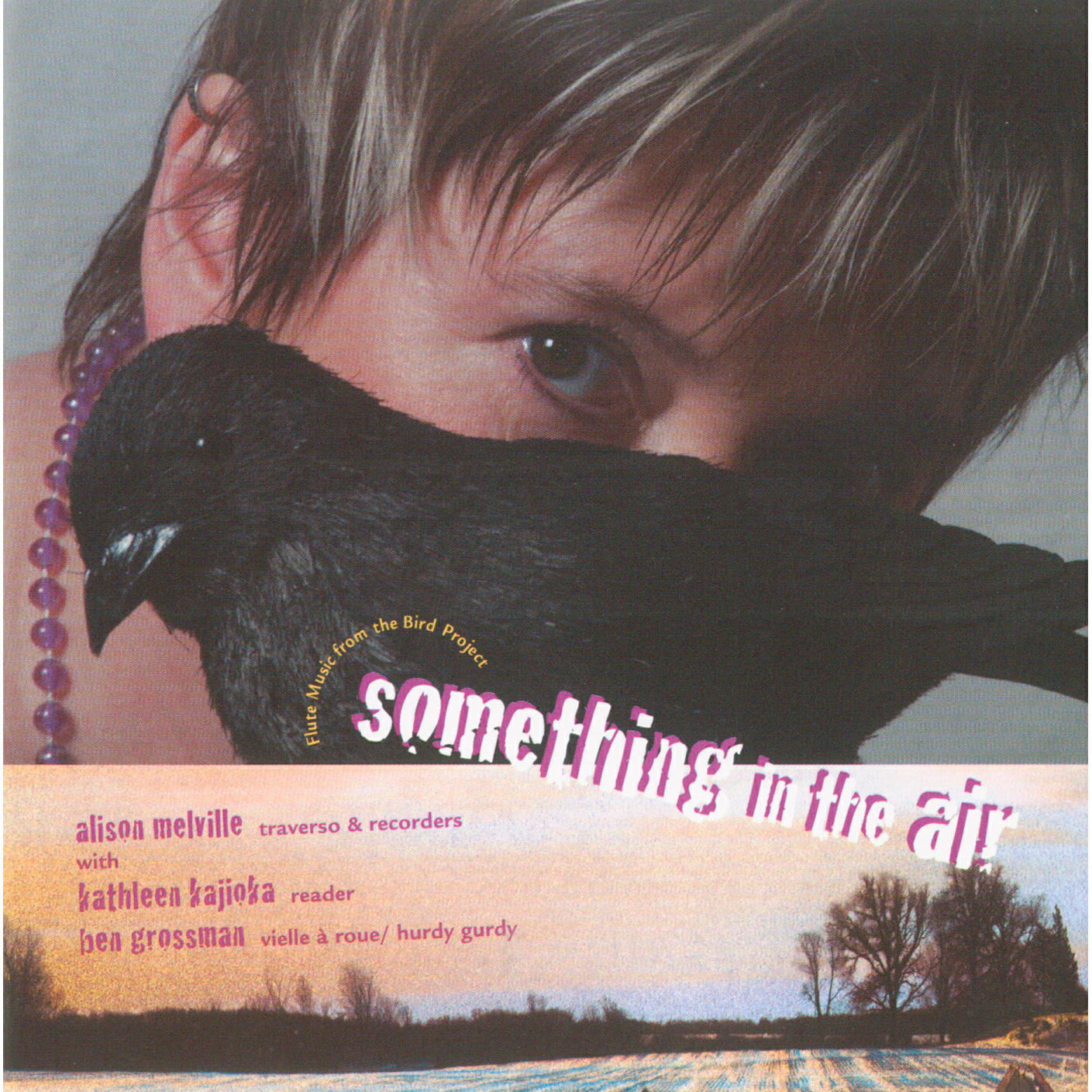 Релиз Something in the Air: Flute music from the Bird Project