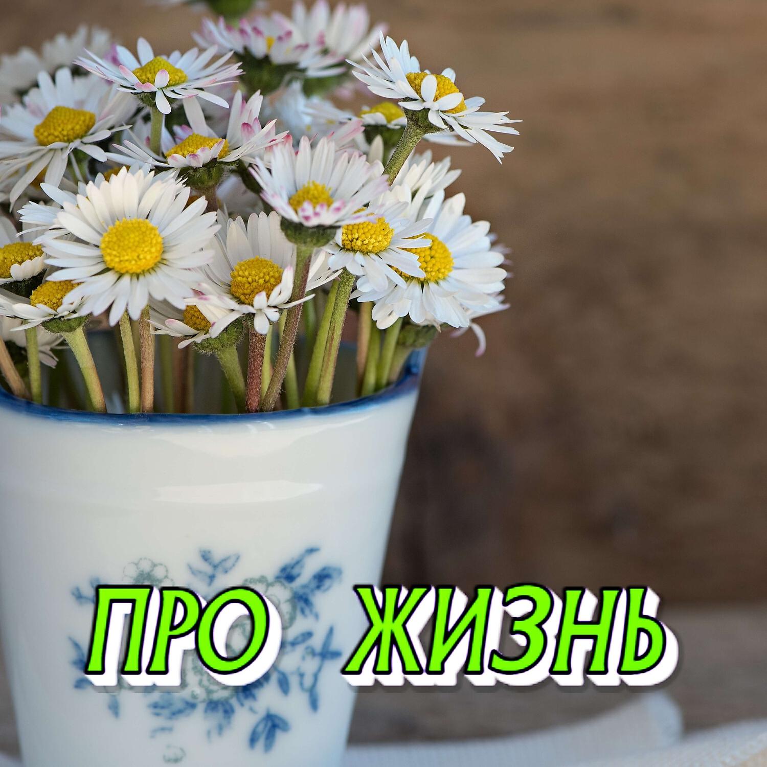 Релиз ПРО ЖИЗНЬ