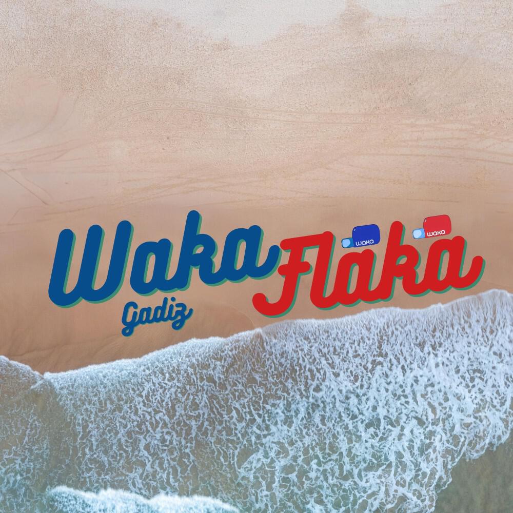 Релиз Waka Flaka