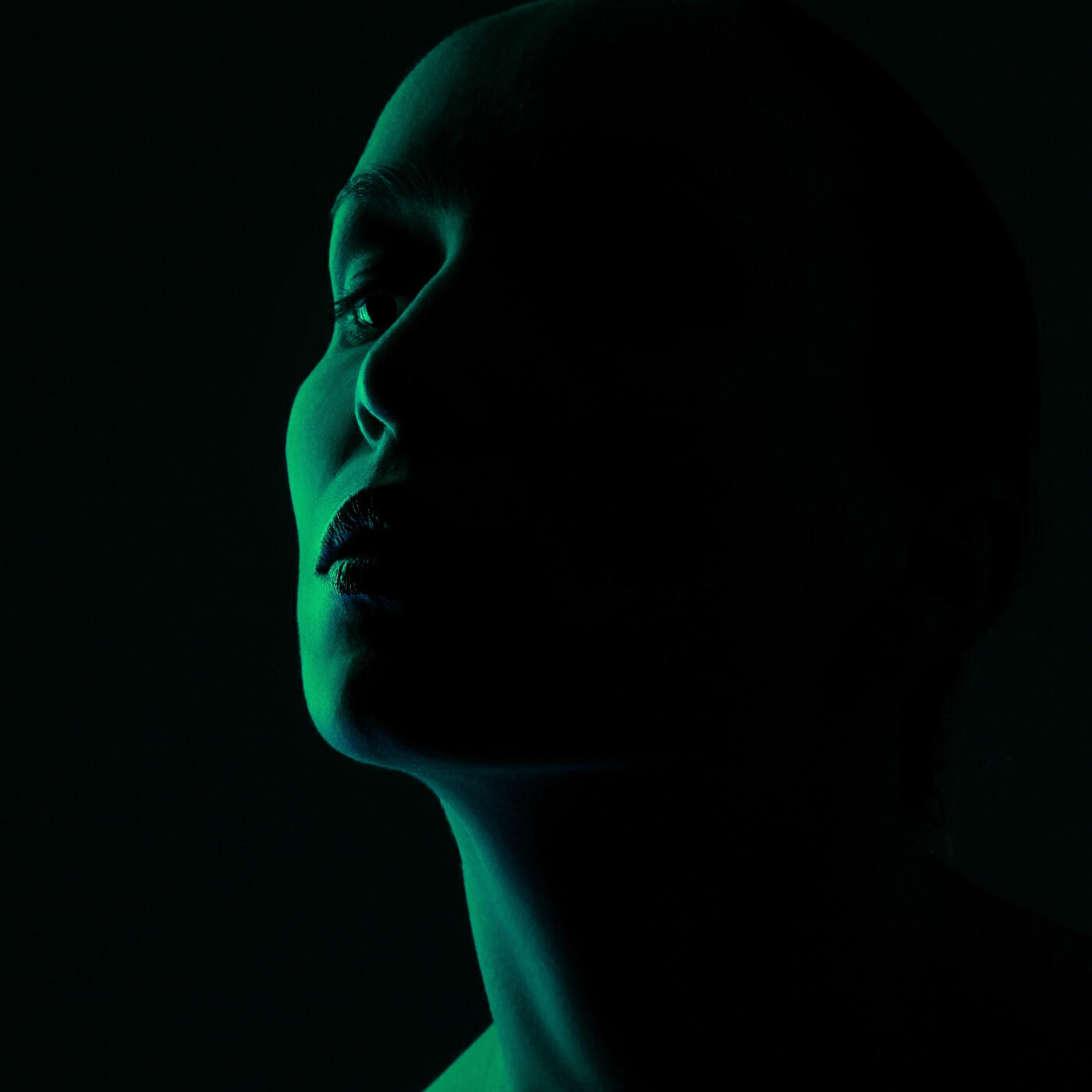 Релиз Pulse of Darkness