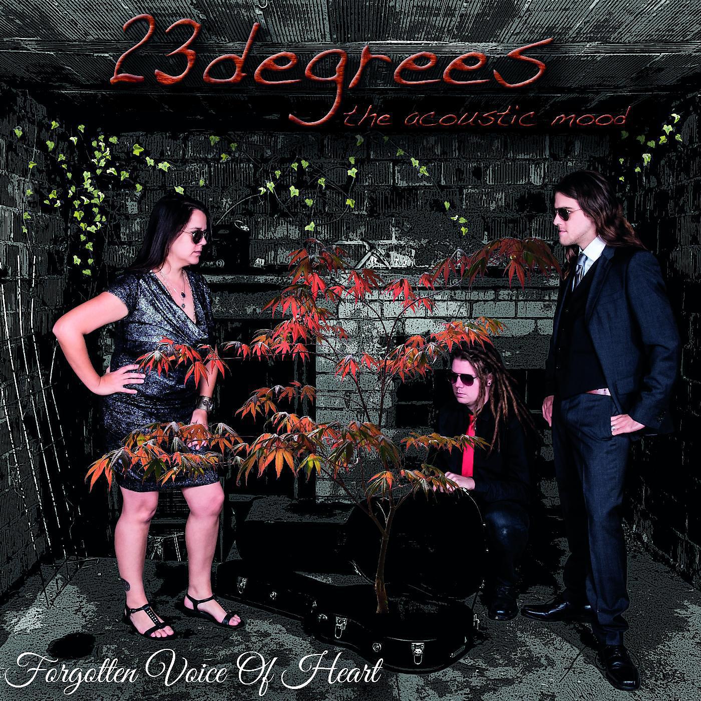 Релиз Forgotten Voice of Heart