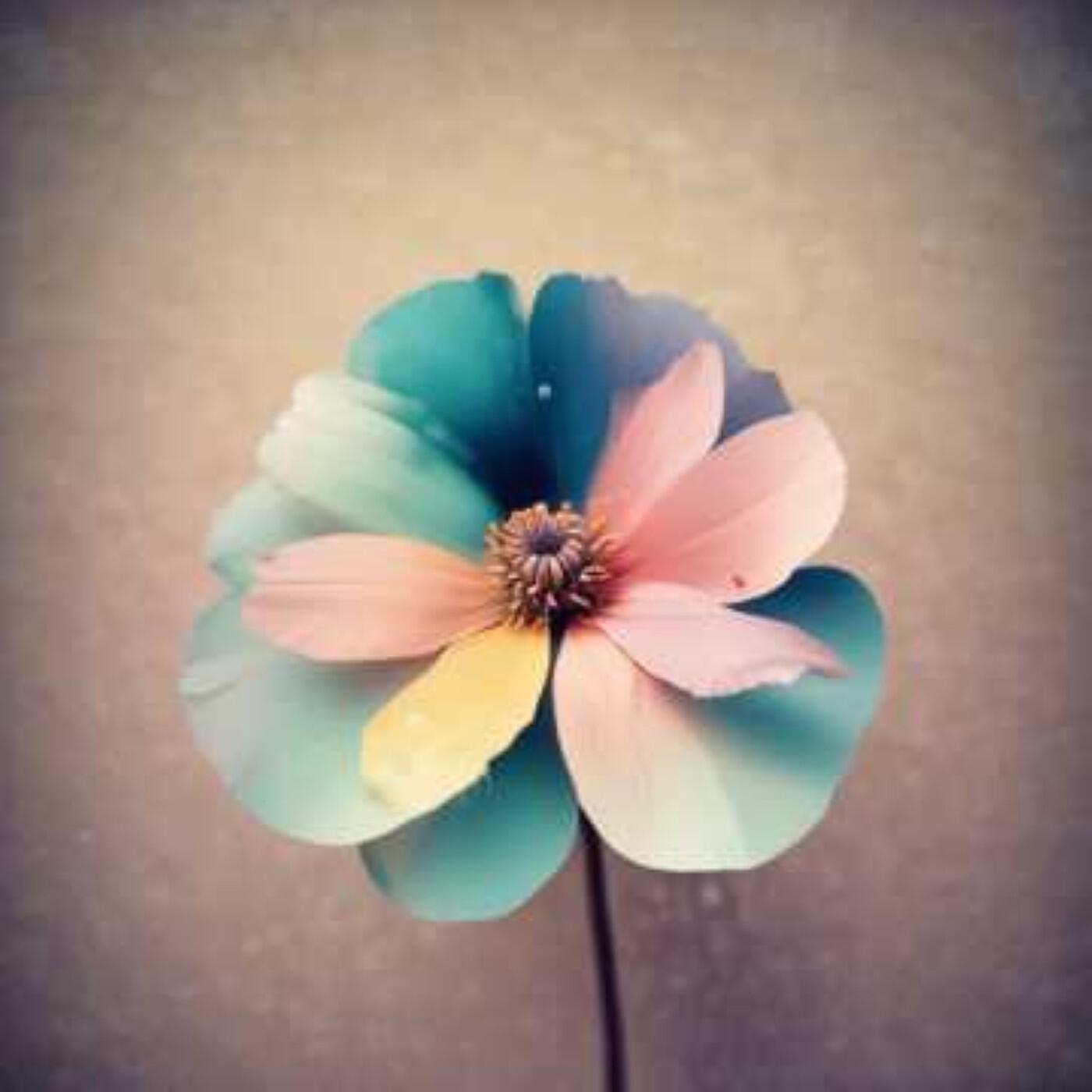 Релиз In a world of noise, a gentle voice can