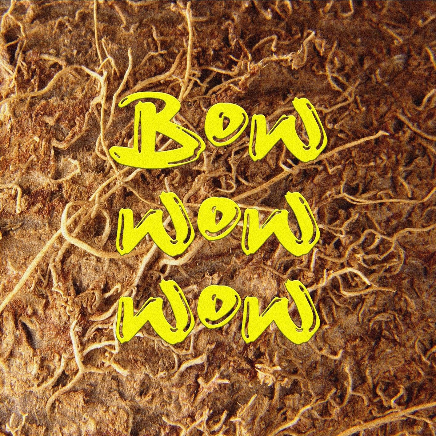 Релиз bow wow wow