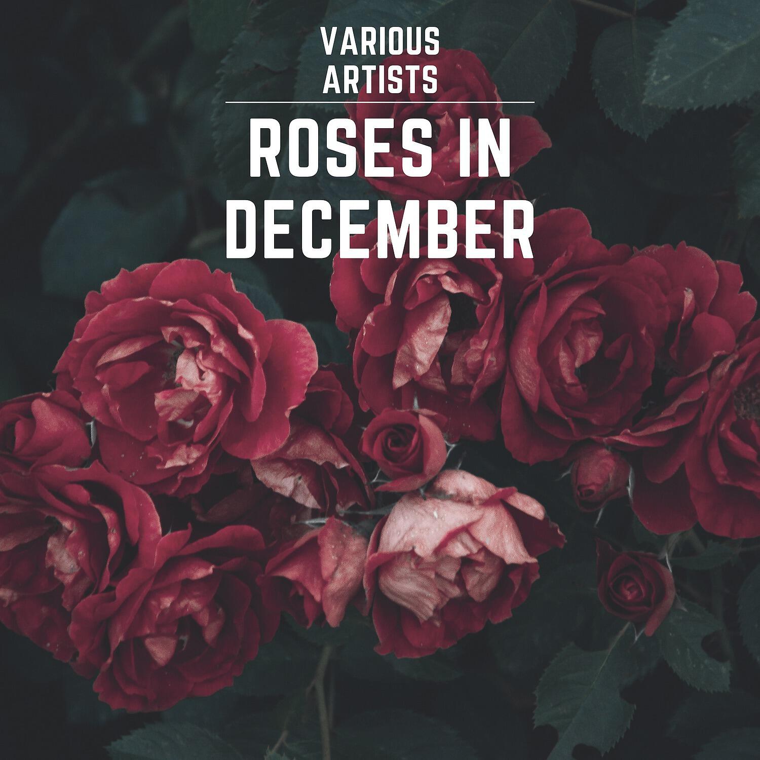 Релиз Roses in December