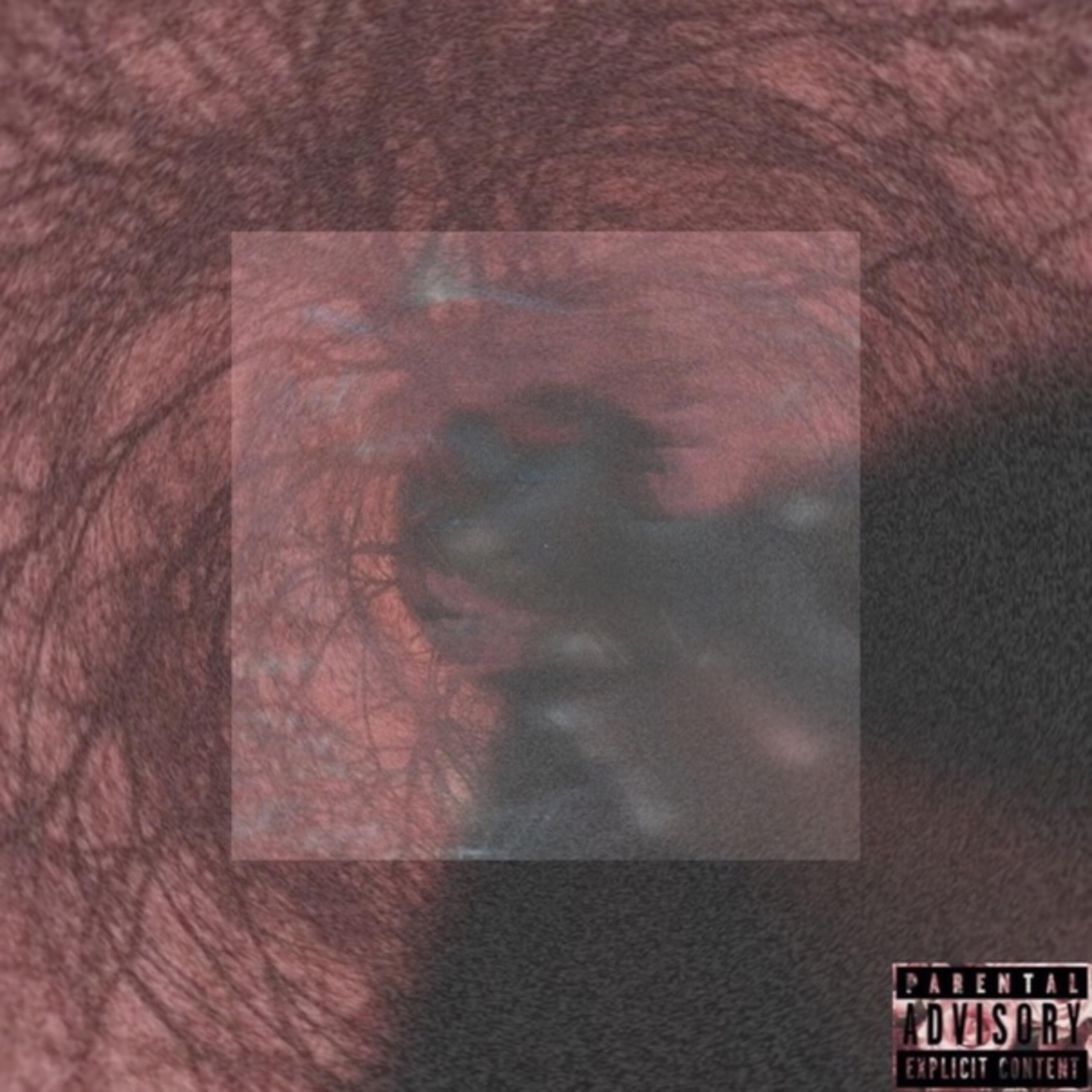 TLMG