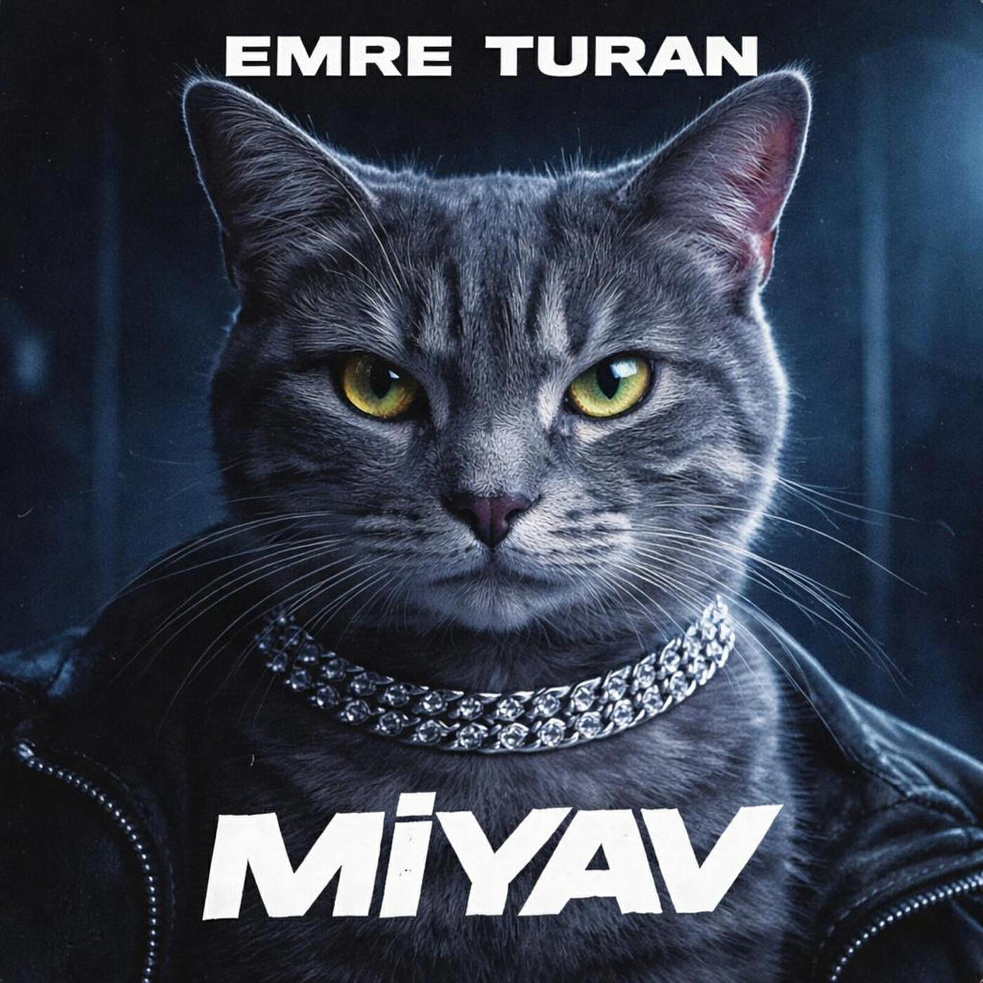 Релиз Miyav