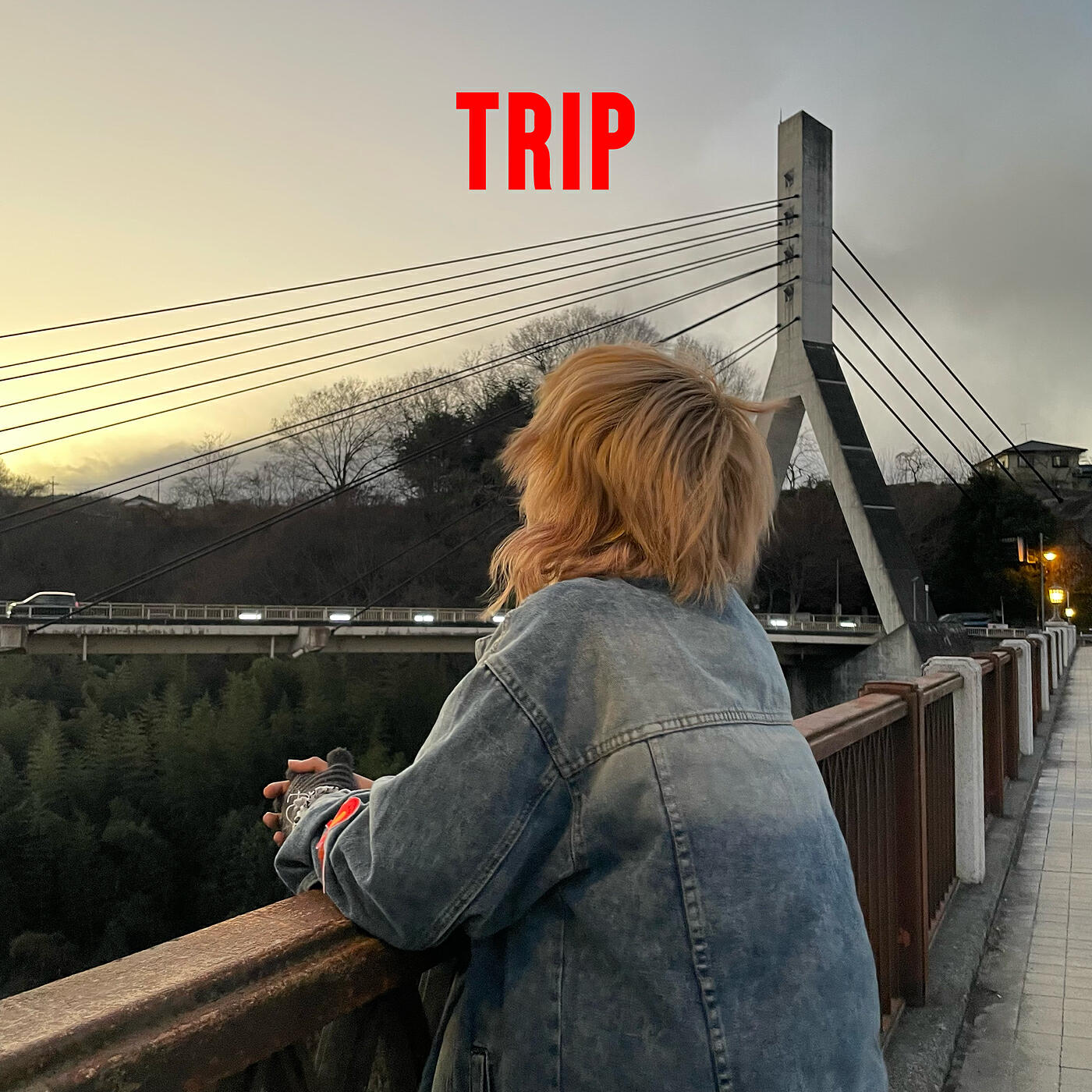 Релиз Trip