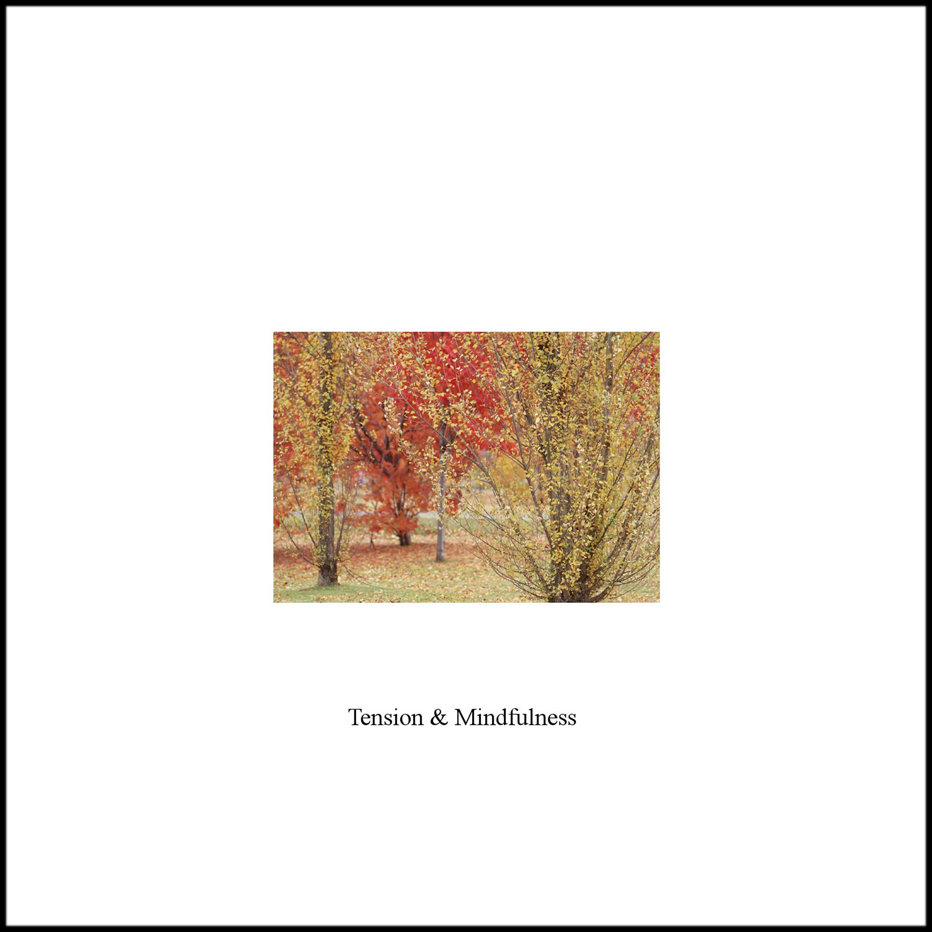 Релиз Tension and Mindfulness - Single