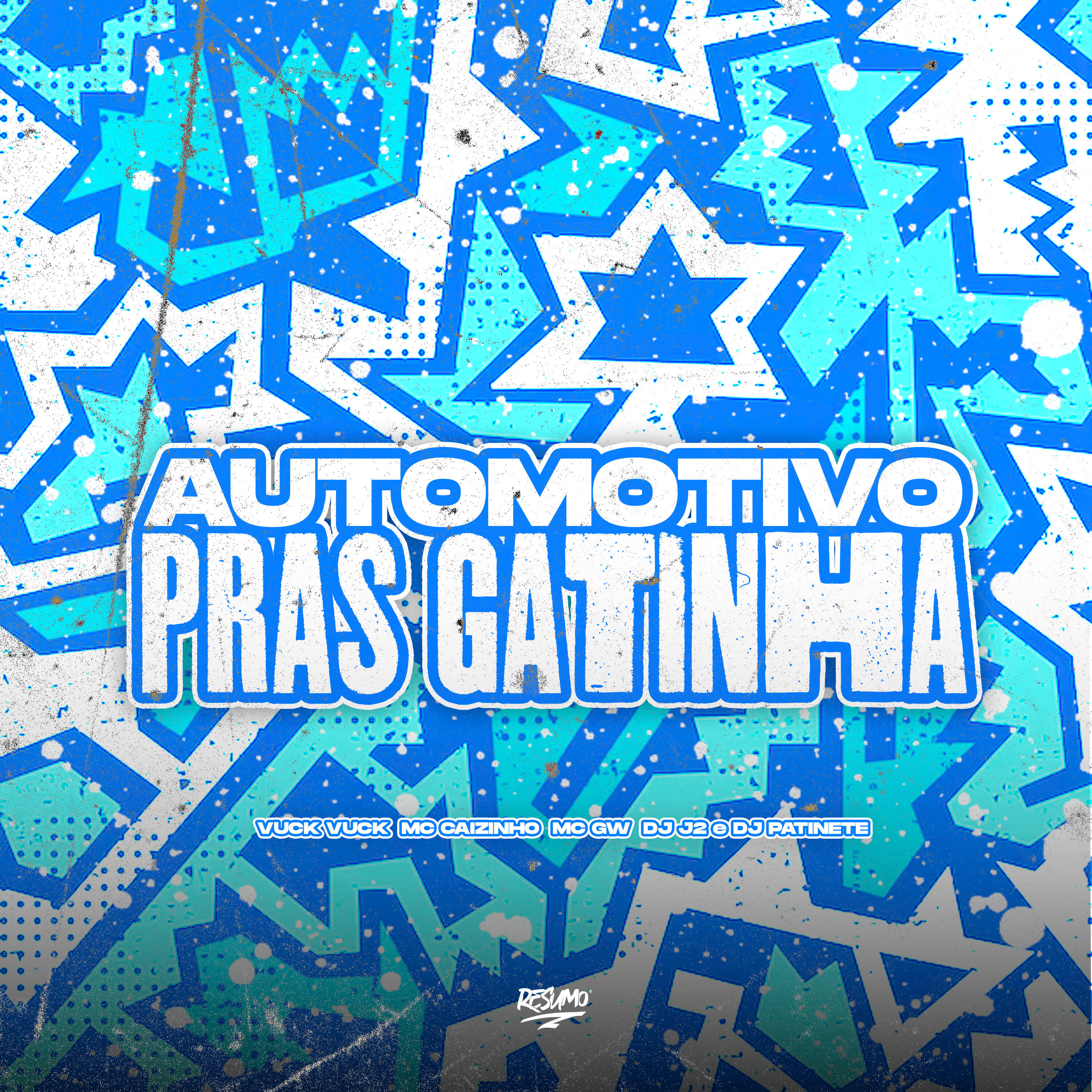 Релиз Automotivo Pras Gatinha