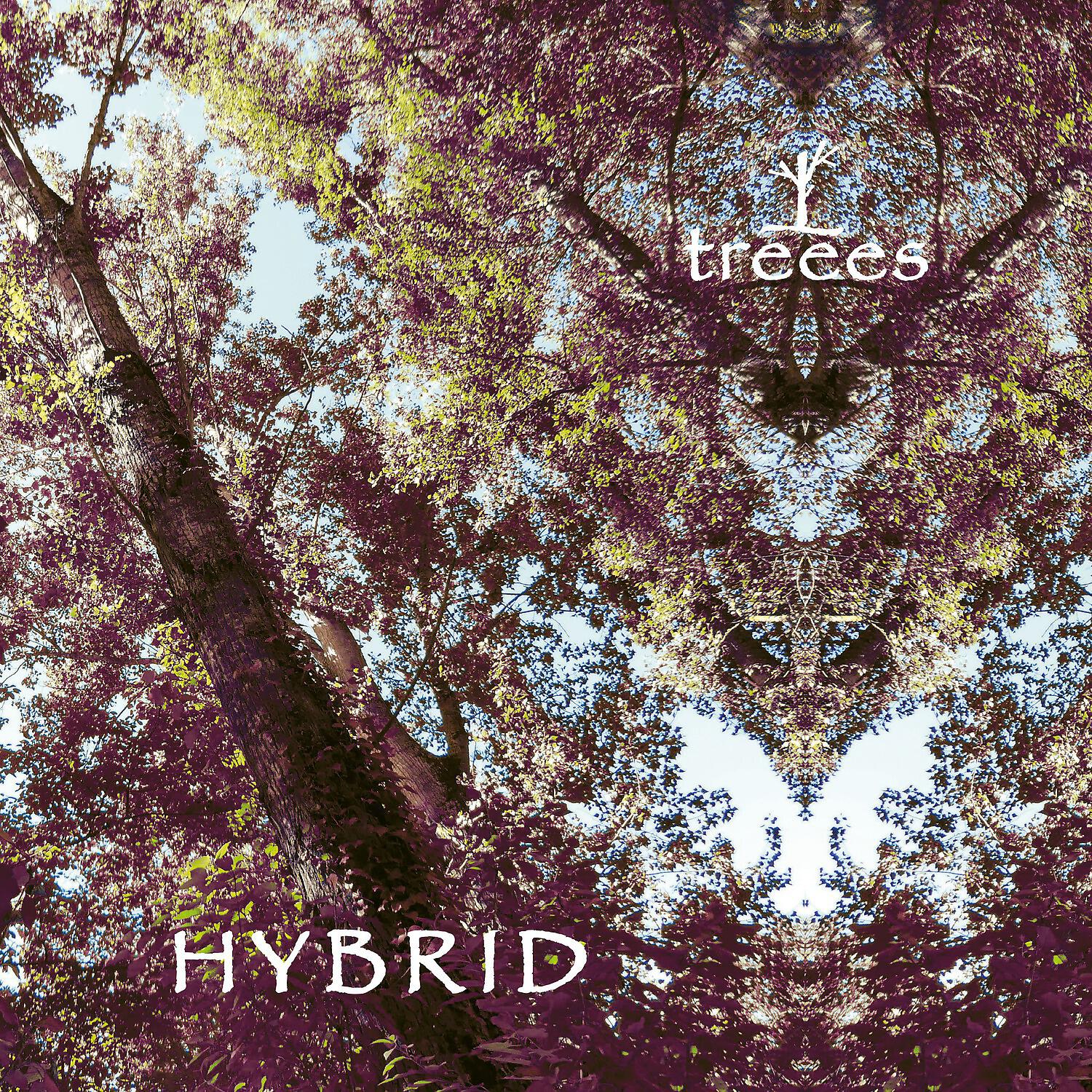 Релиз Hybrid