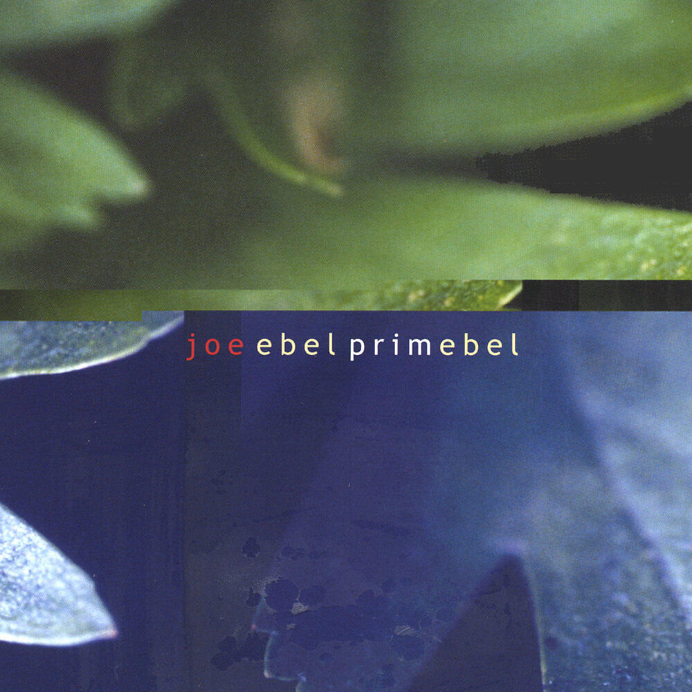 Joe Ebel