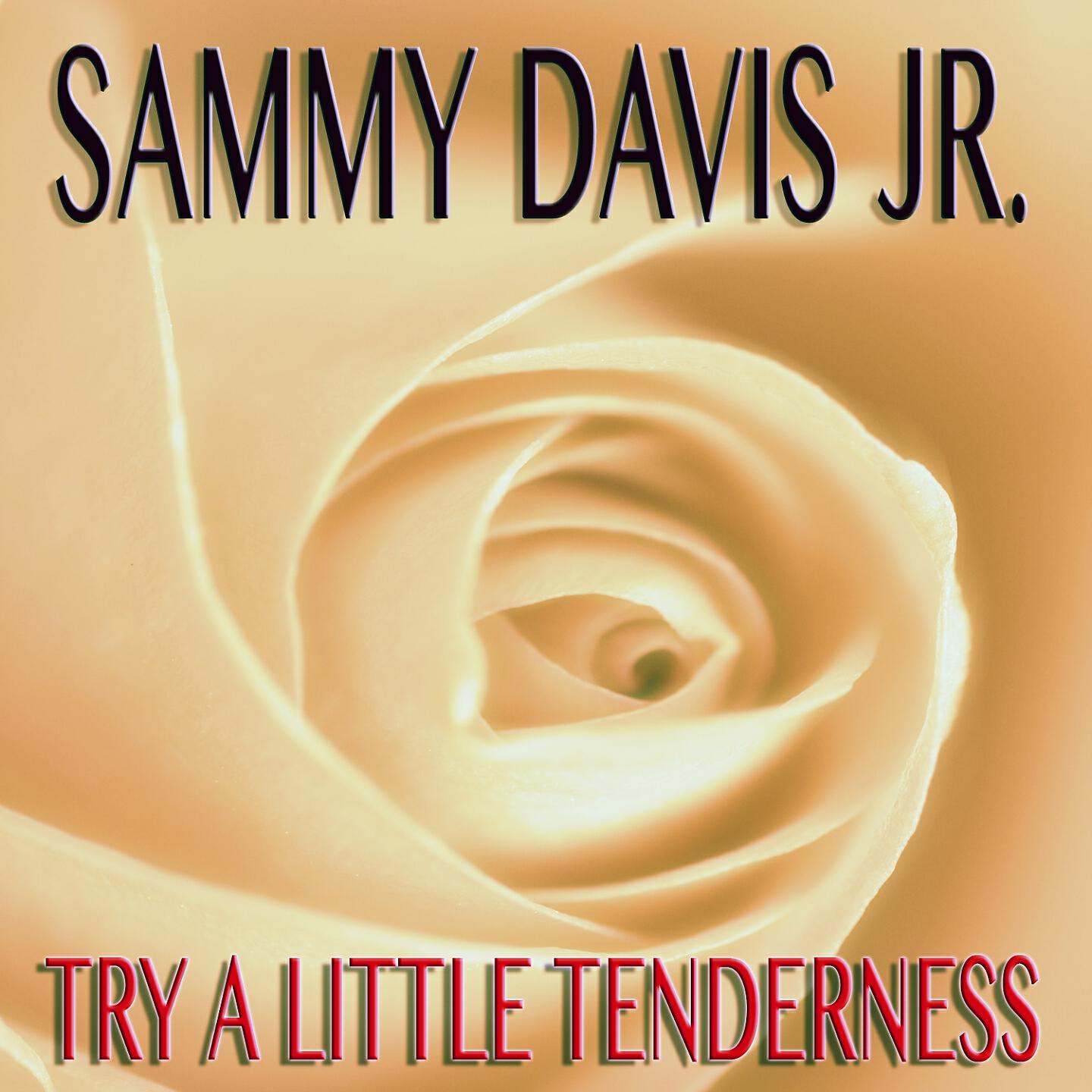 Релиз Try a Little Tenderness
