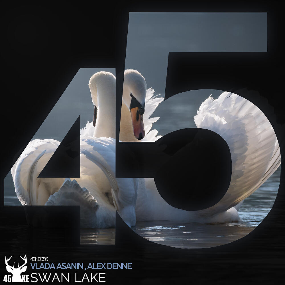 Релиз Swan Lake (Asi Me Gusta Mix)