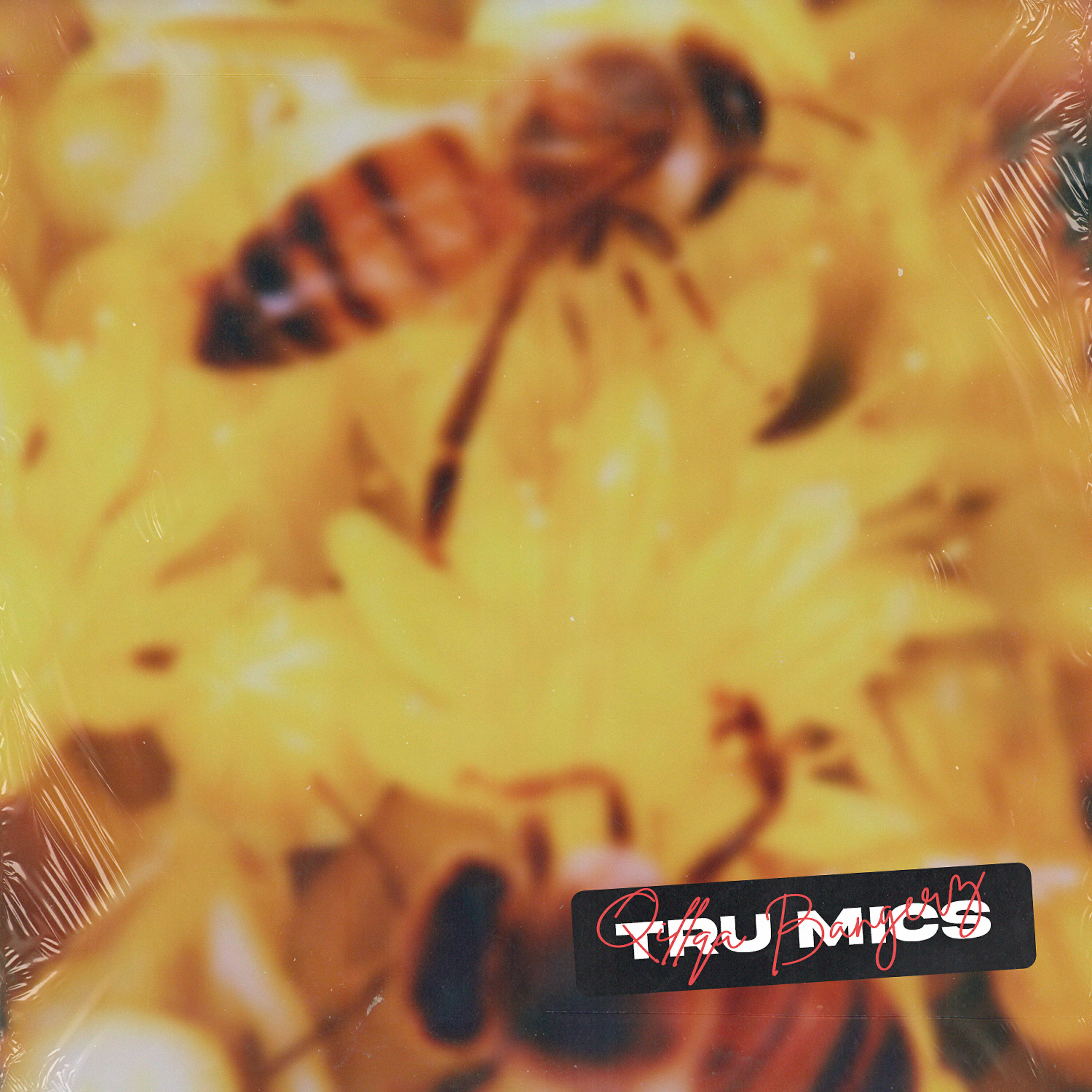 Релиз Trú Mics