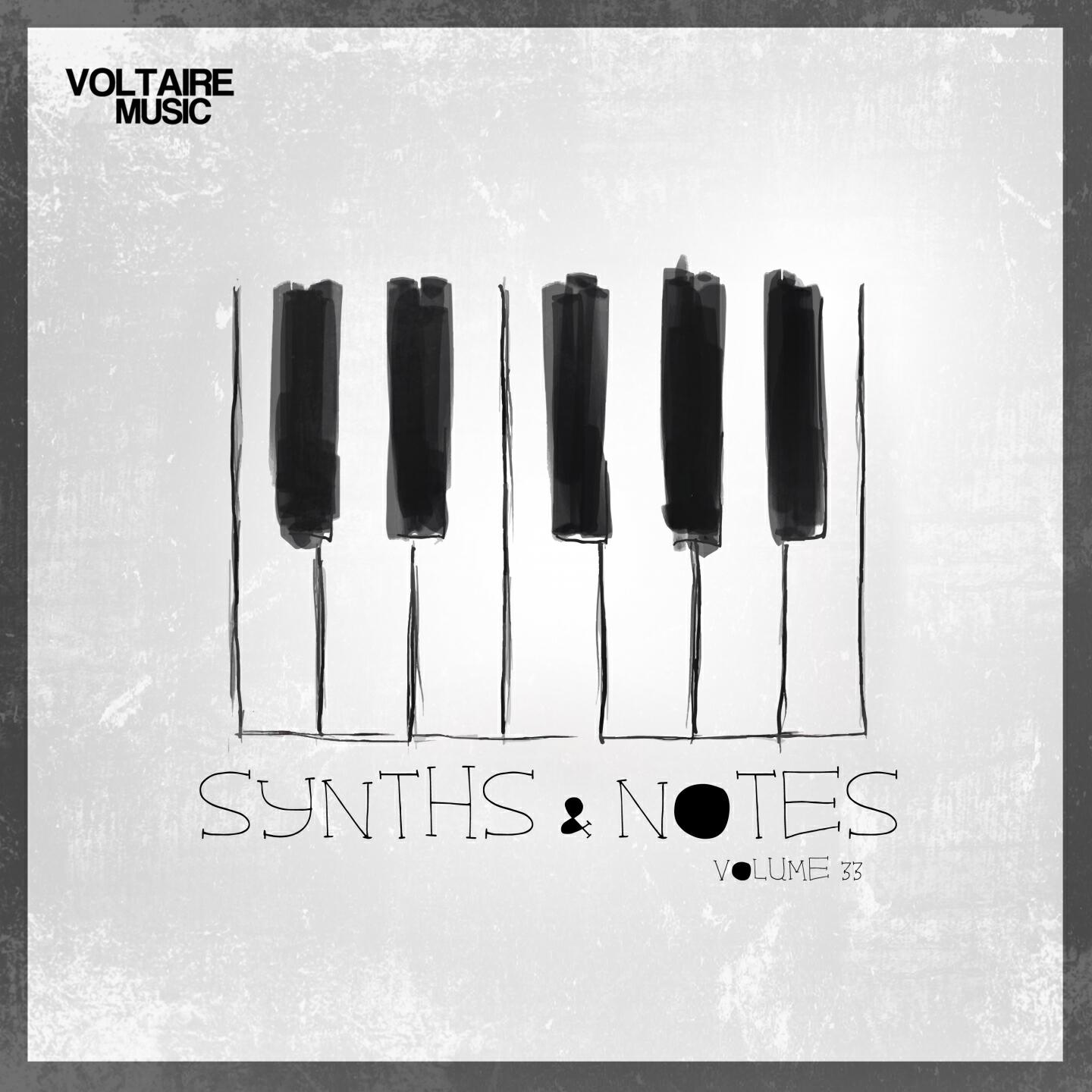 Релиз Synths And Notes 33