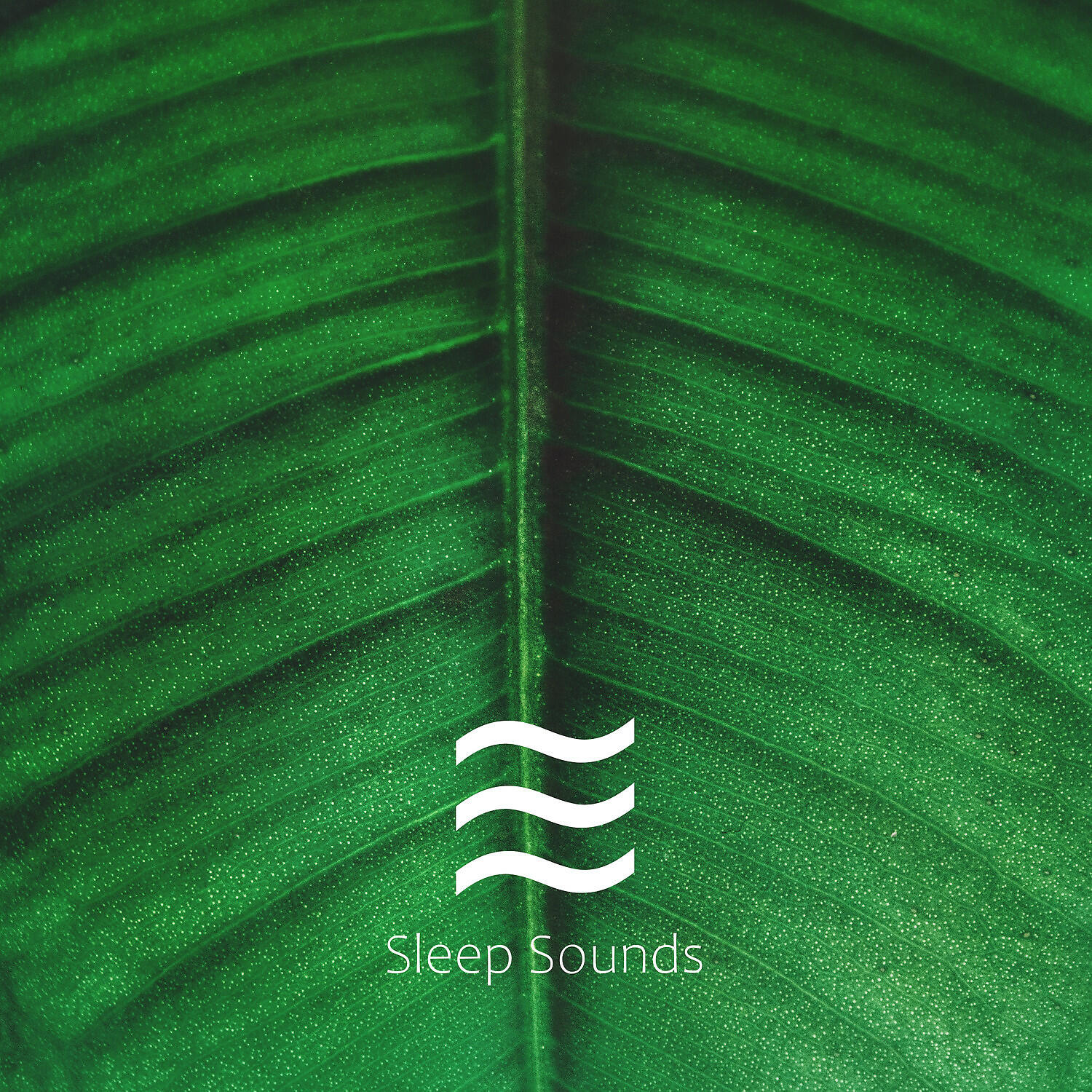 White Calming Relief Noise