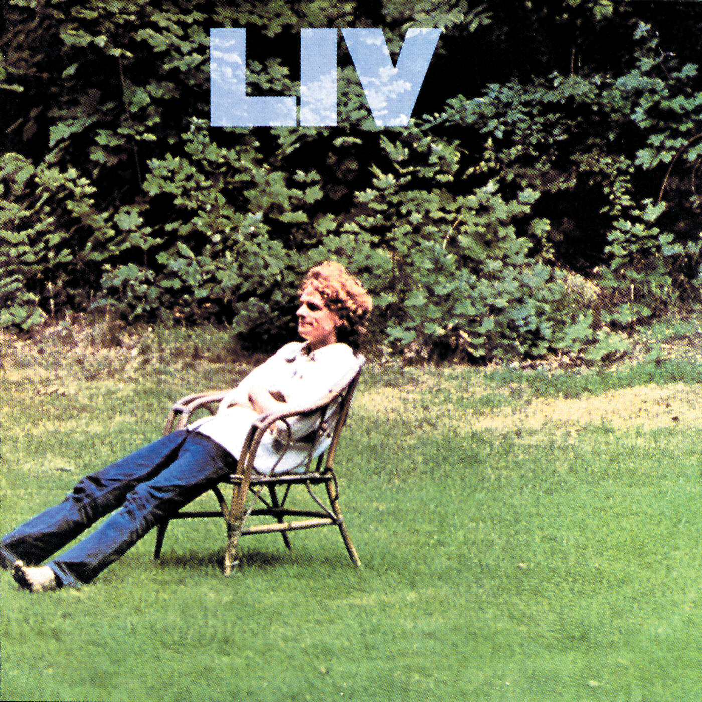 Релиз Liv