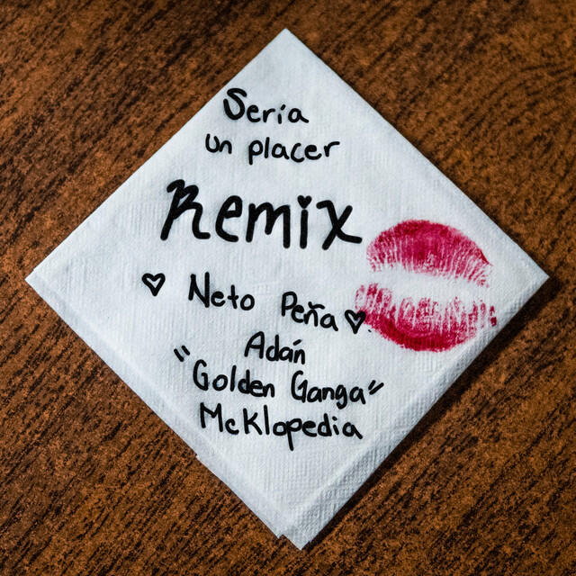 Релиз Sería Un Placer Remix