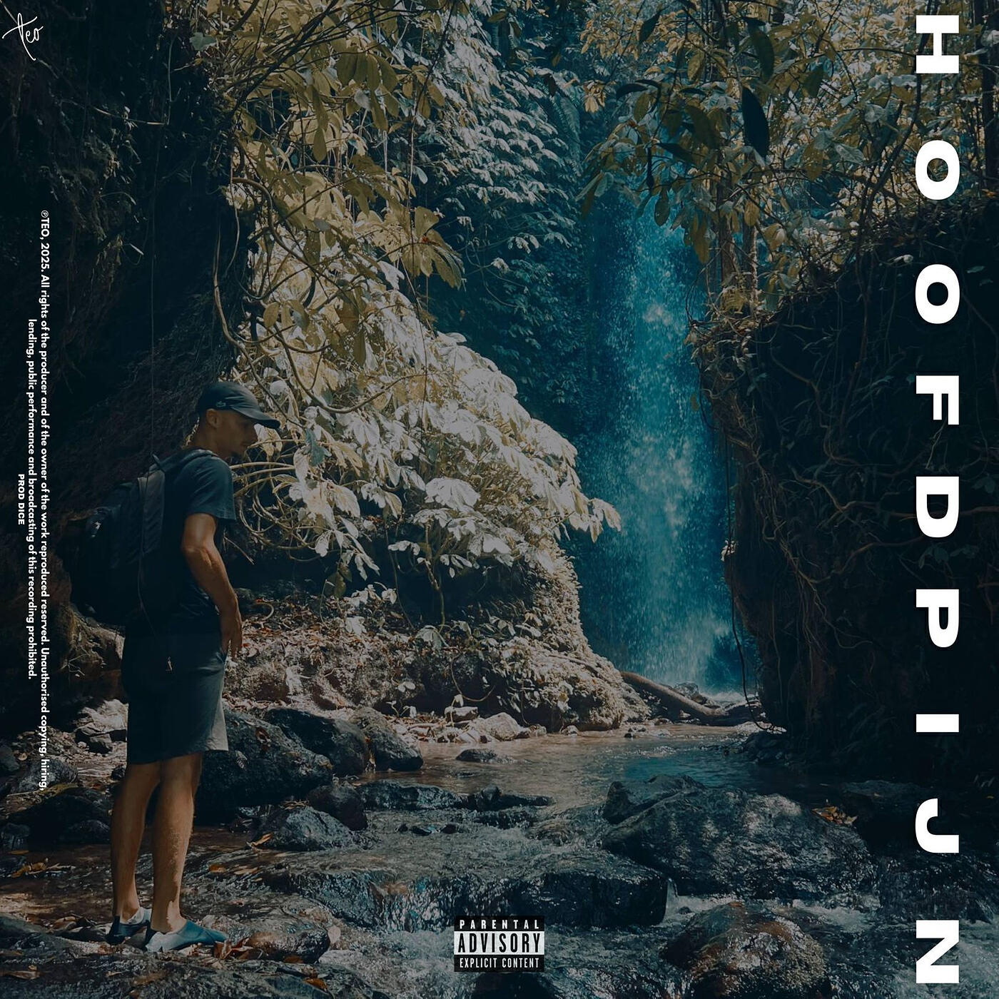 Постер альбома Hoofdpijn