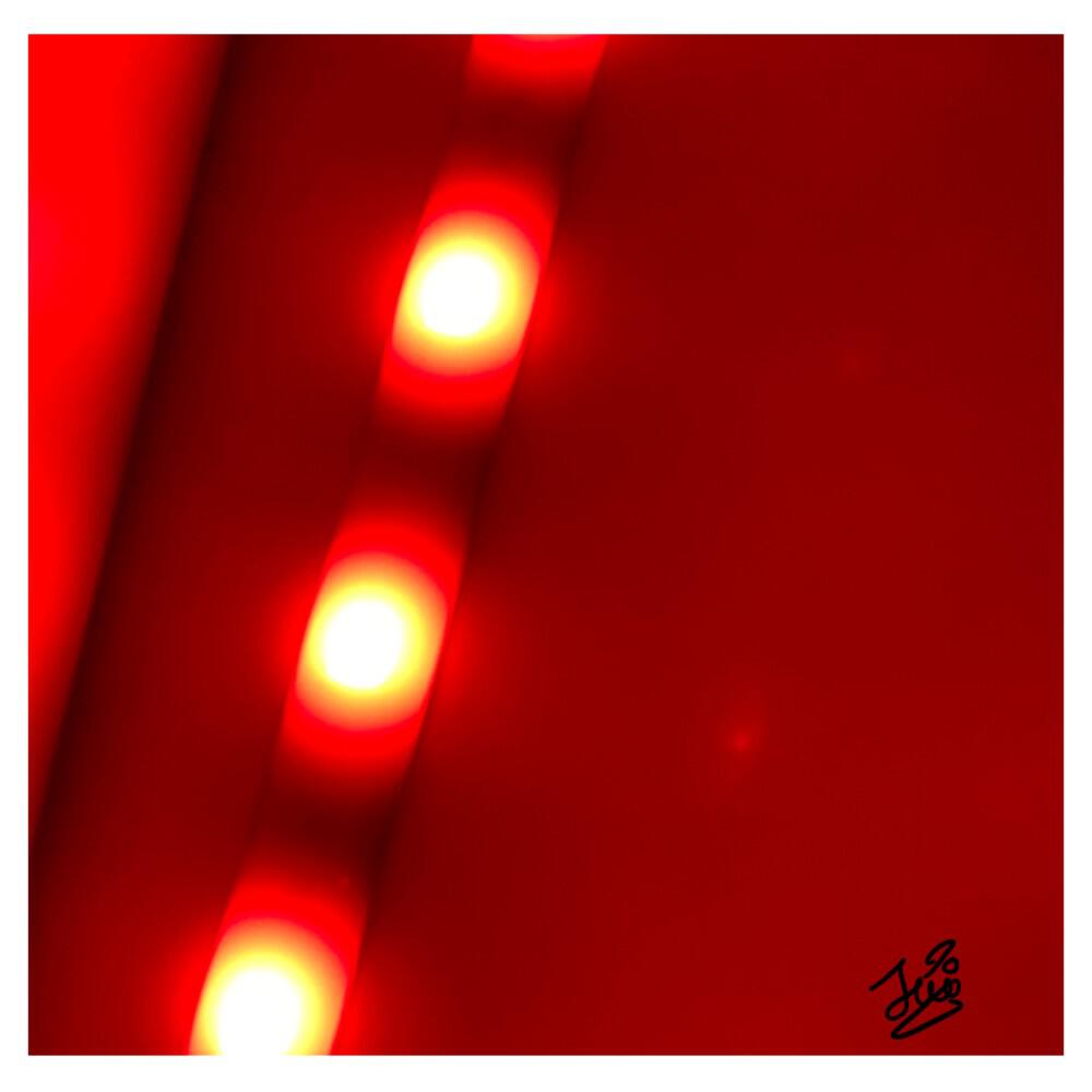 Релиз I Don't Wanna Fight