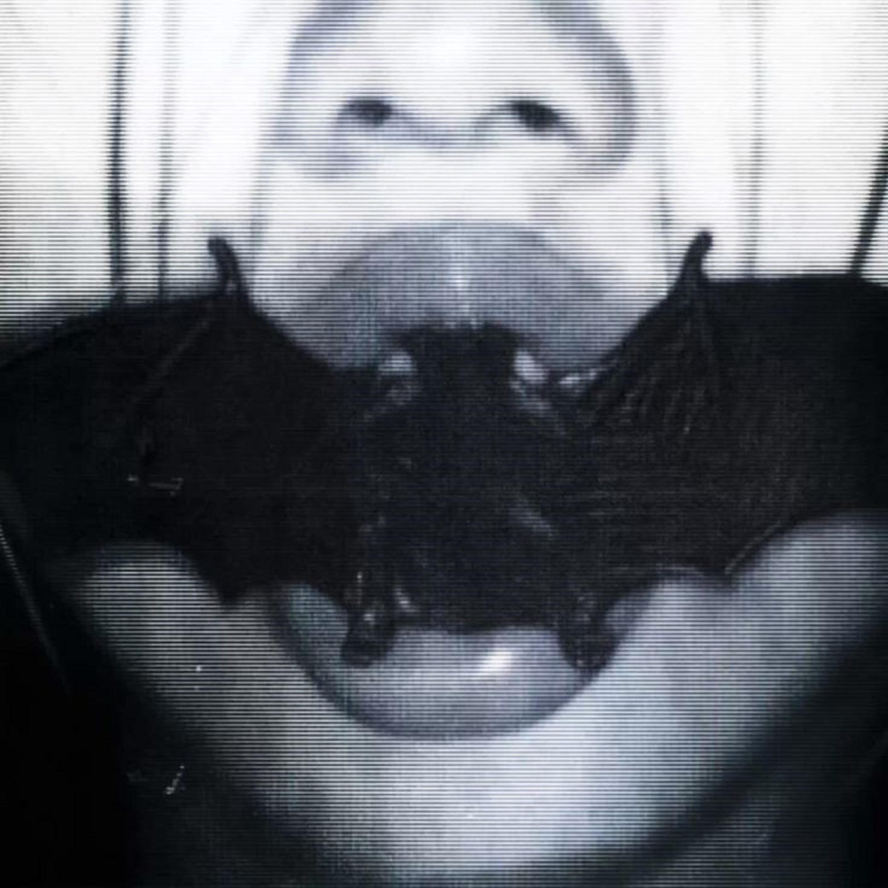 Релиз VAMPIR