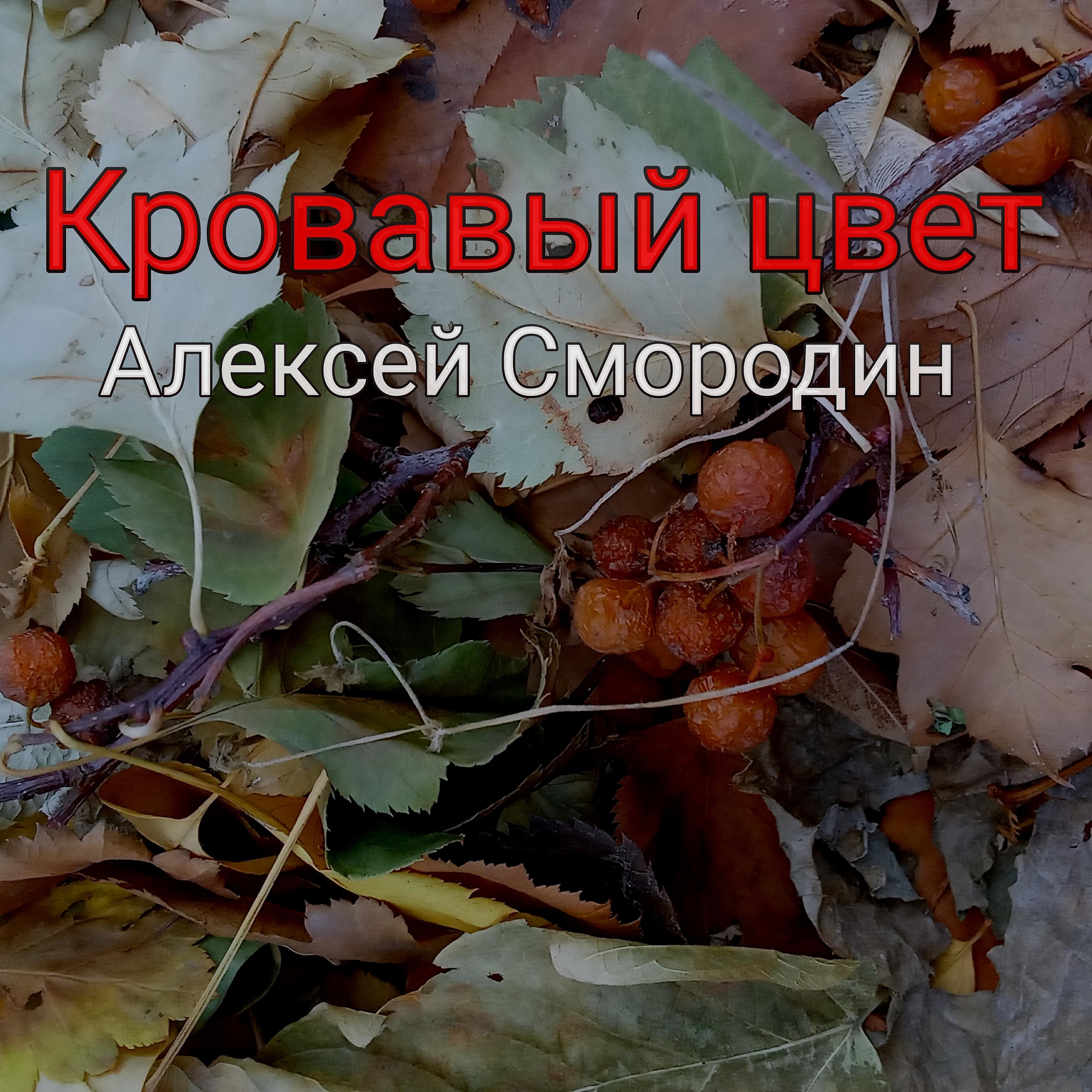 Релиз Кровавый цвет