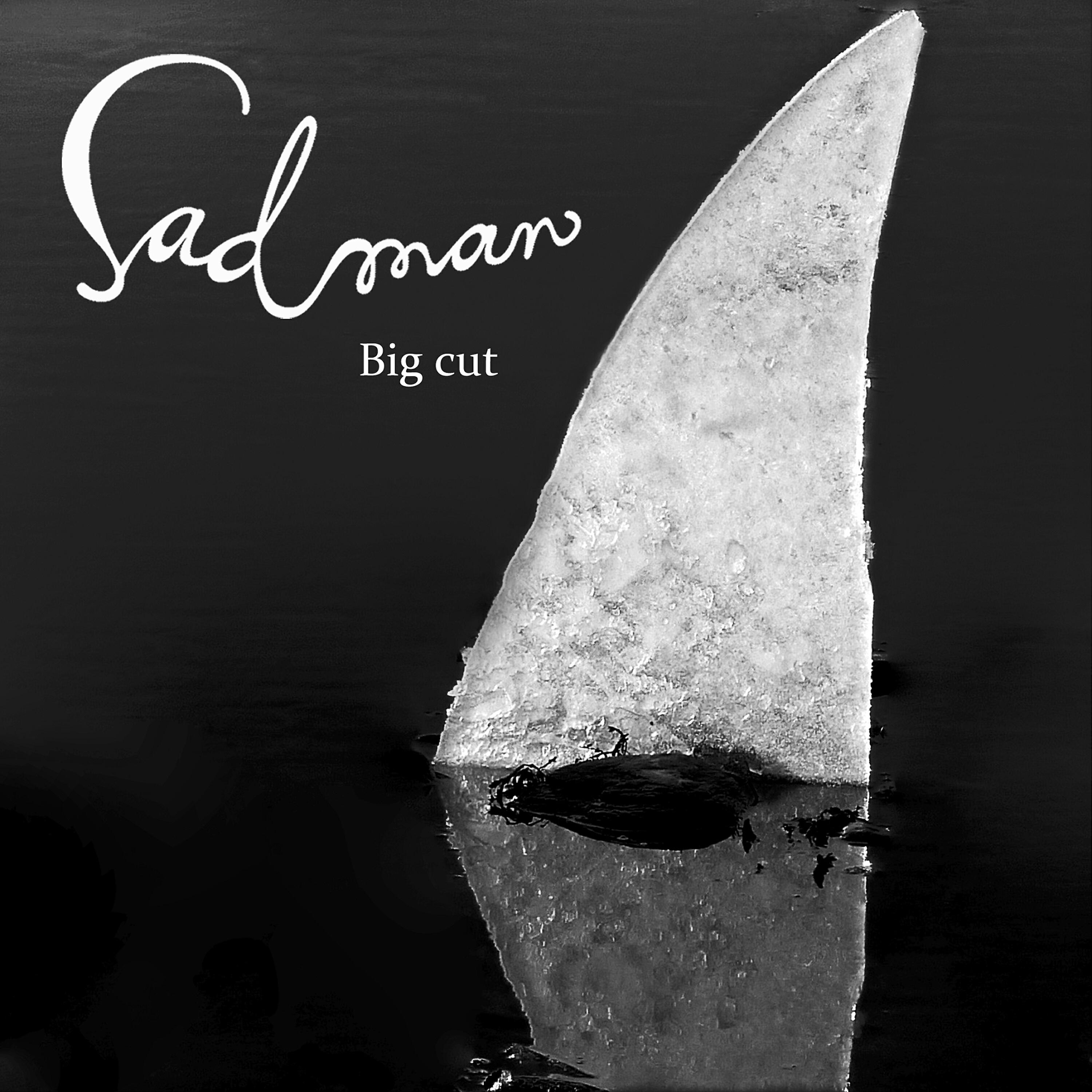 Релиз Big Cut