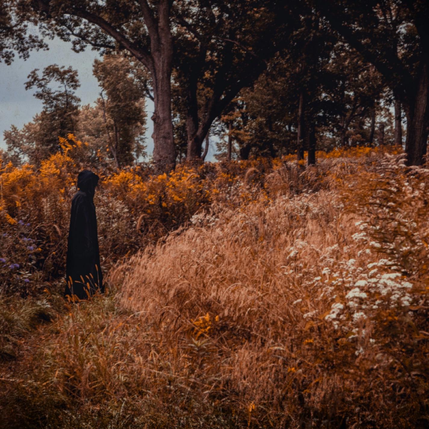 Релиз Two Solaced The Soils
