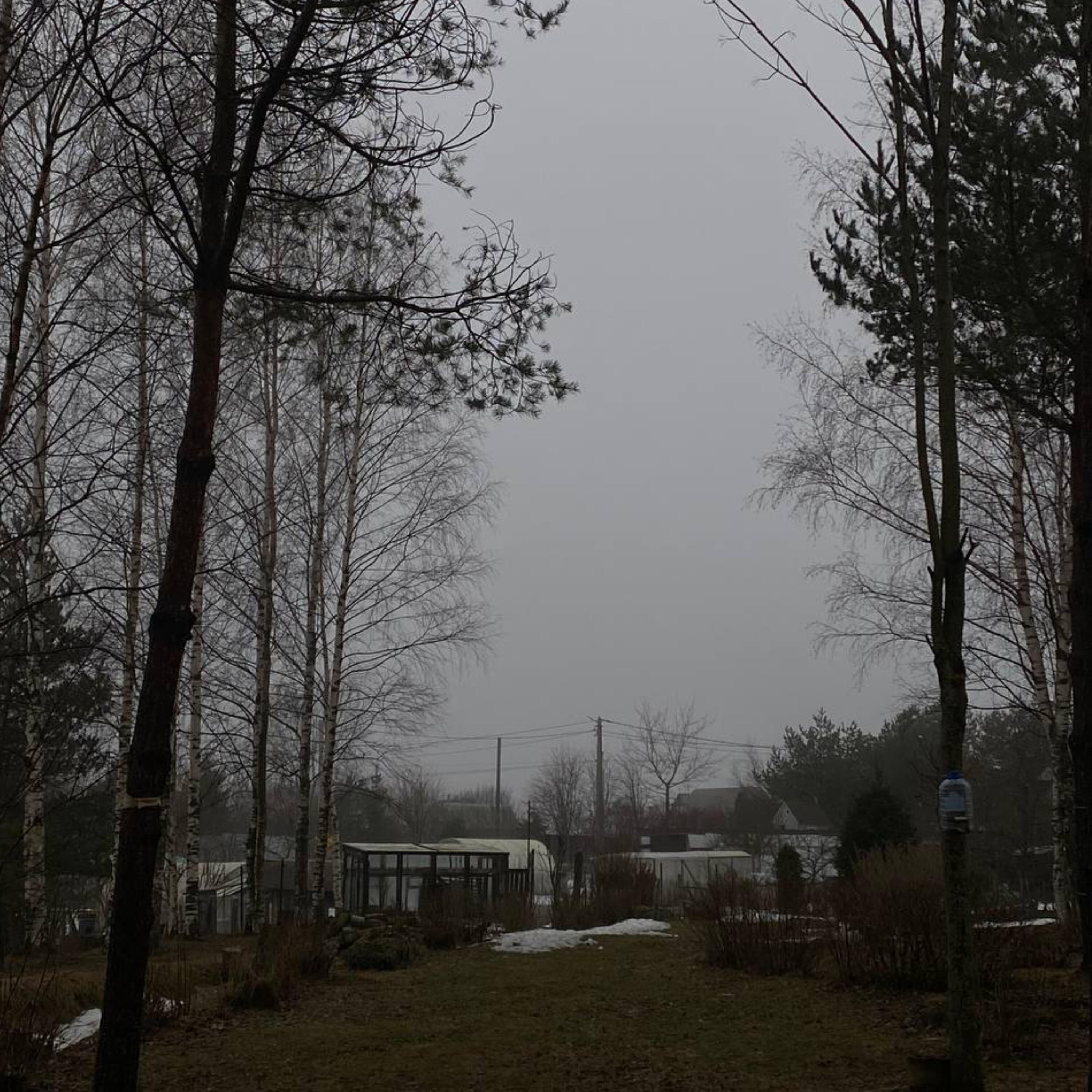 Релиз Quiet Life