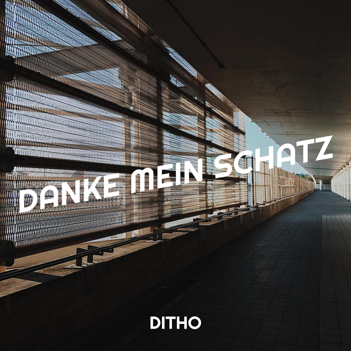 Релиз Danke Mein Schatz