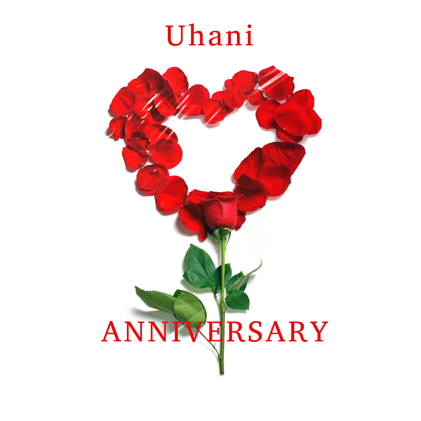 Постер альбома Anniversary