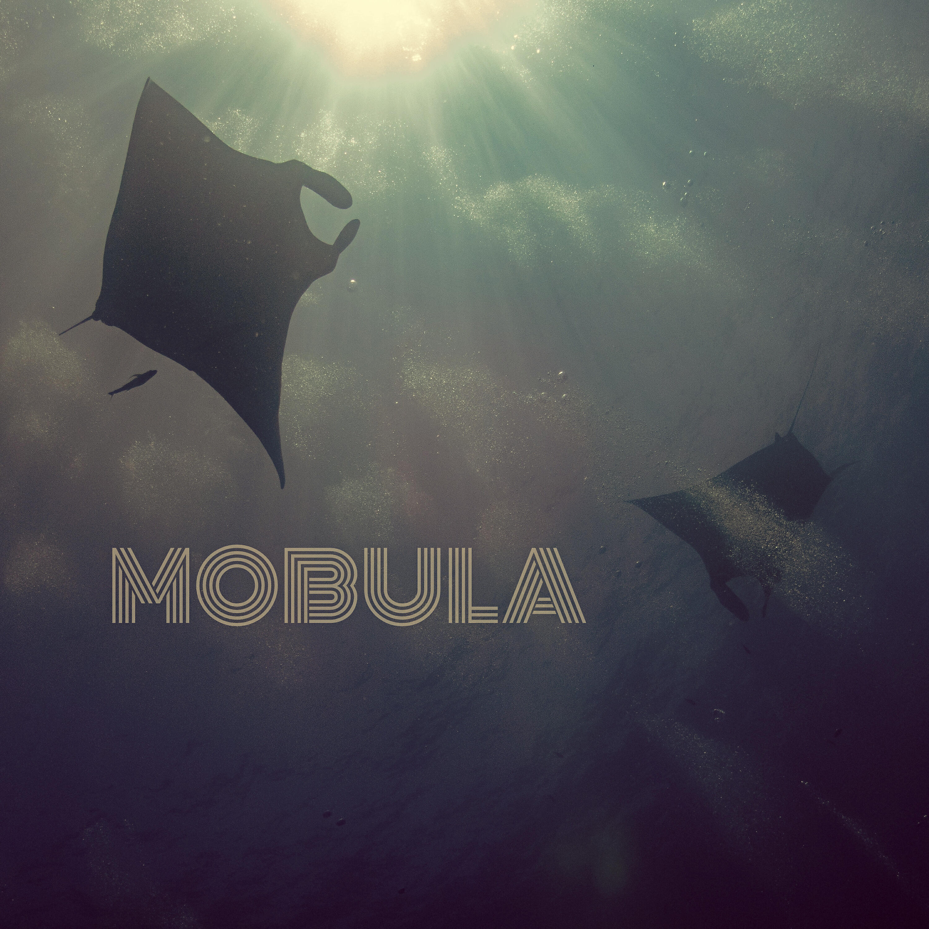 Релиз Mobula