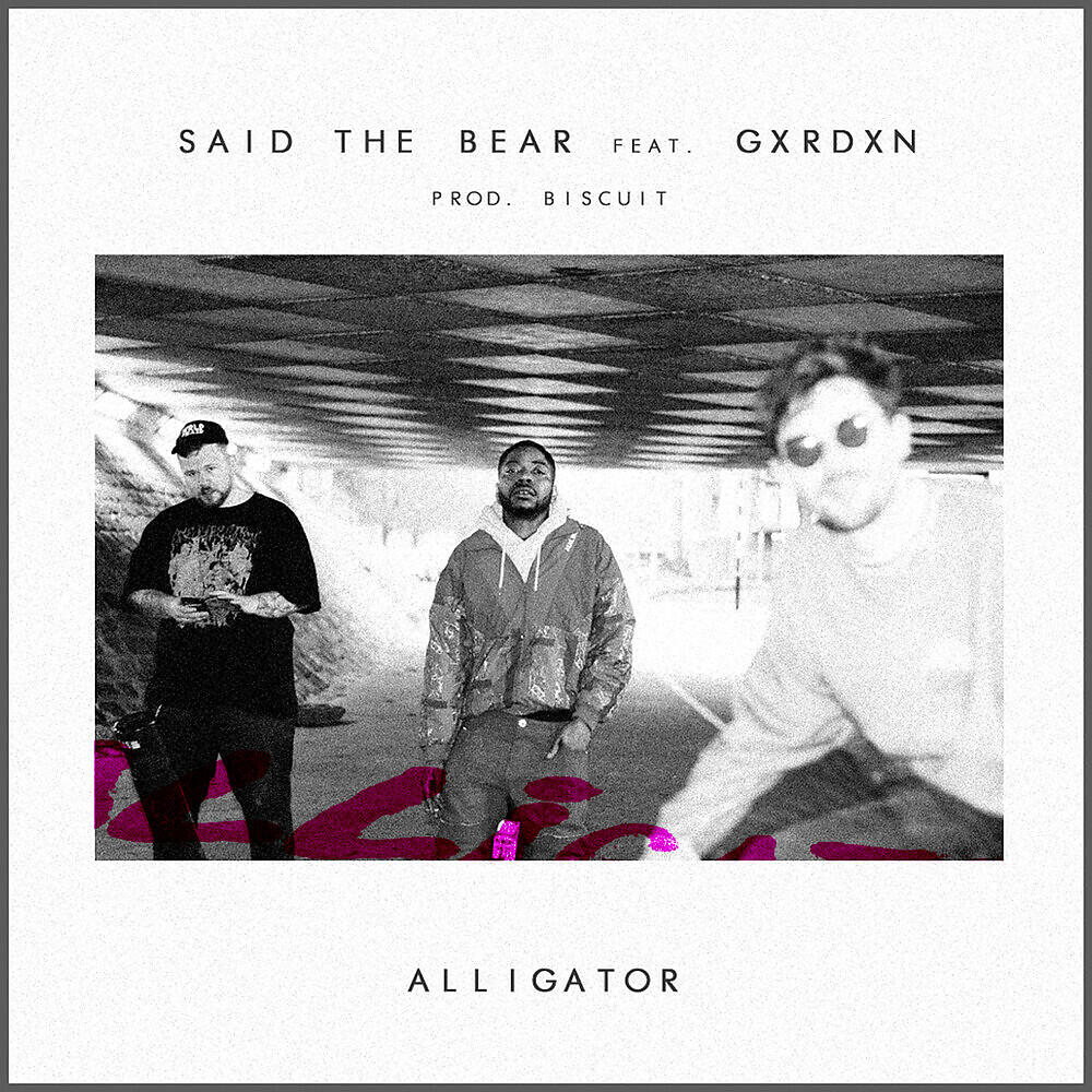 Релиз Alligator