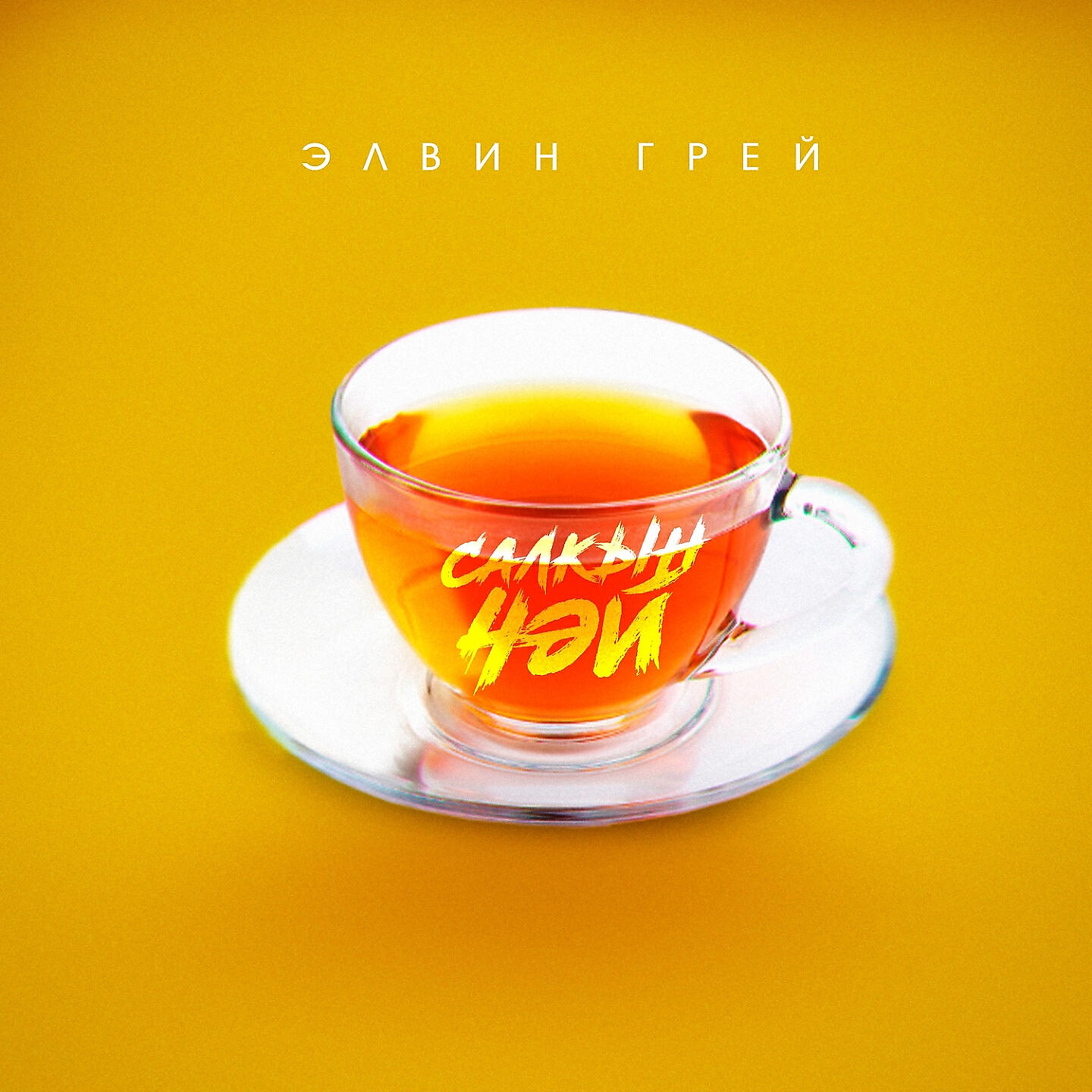 Релиз Салкын Чэй