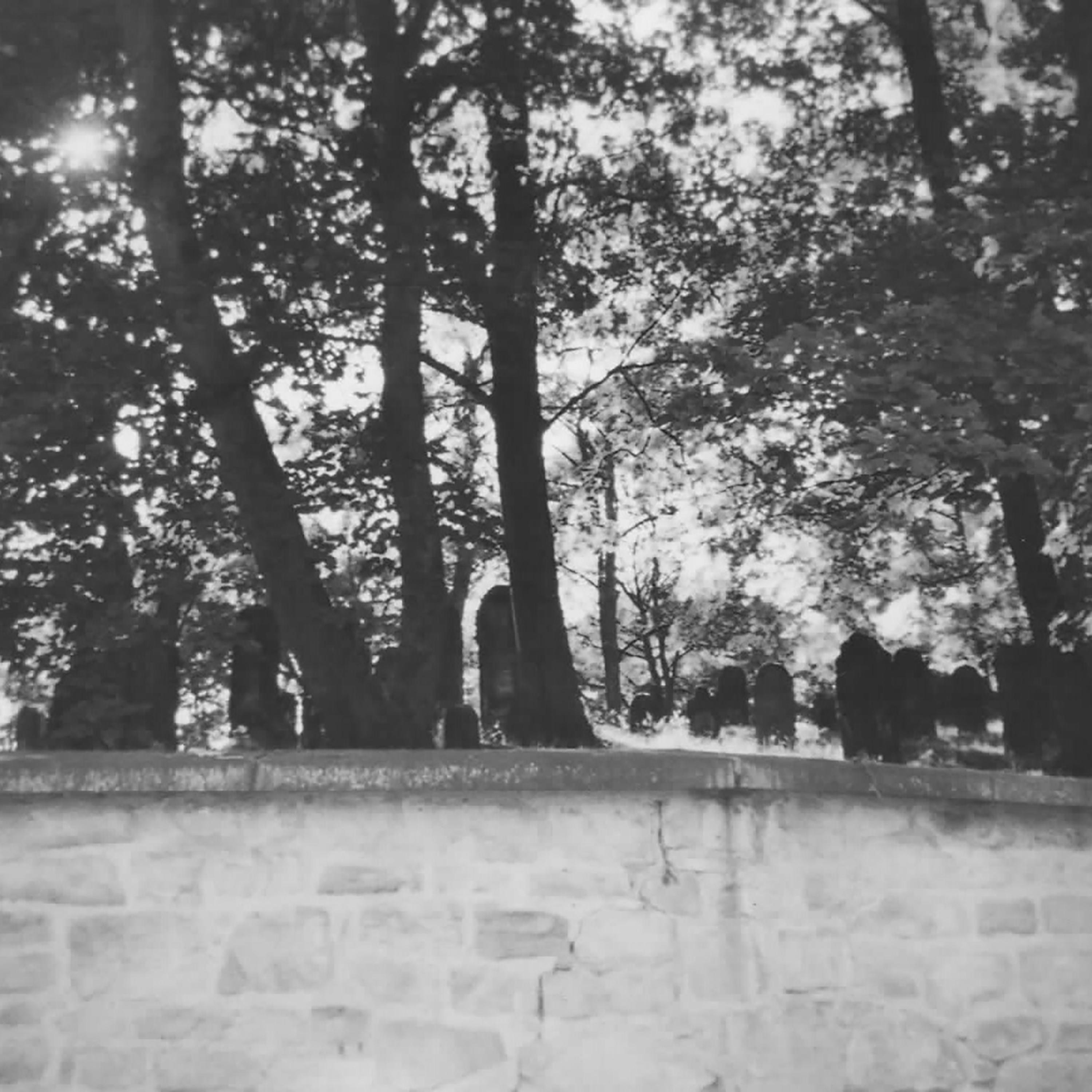 Релиз Sleep