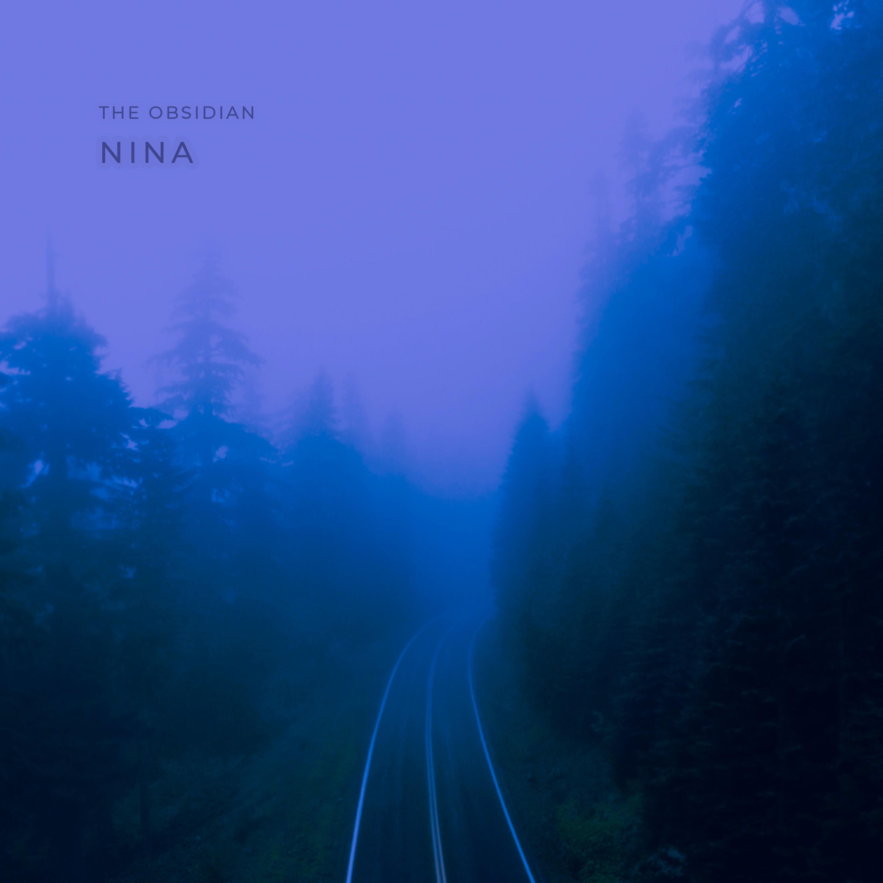 Релиз Nina