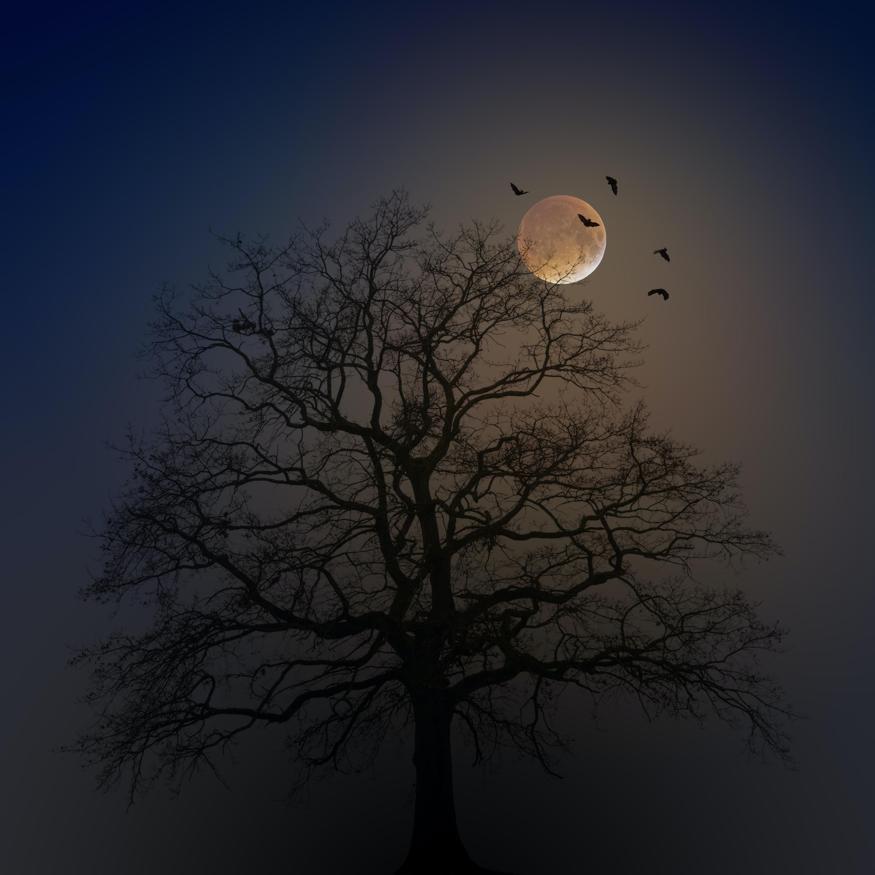 Релиз Moonlight Sonata On Old Piano Mvmnt. 1